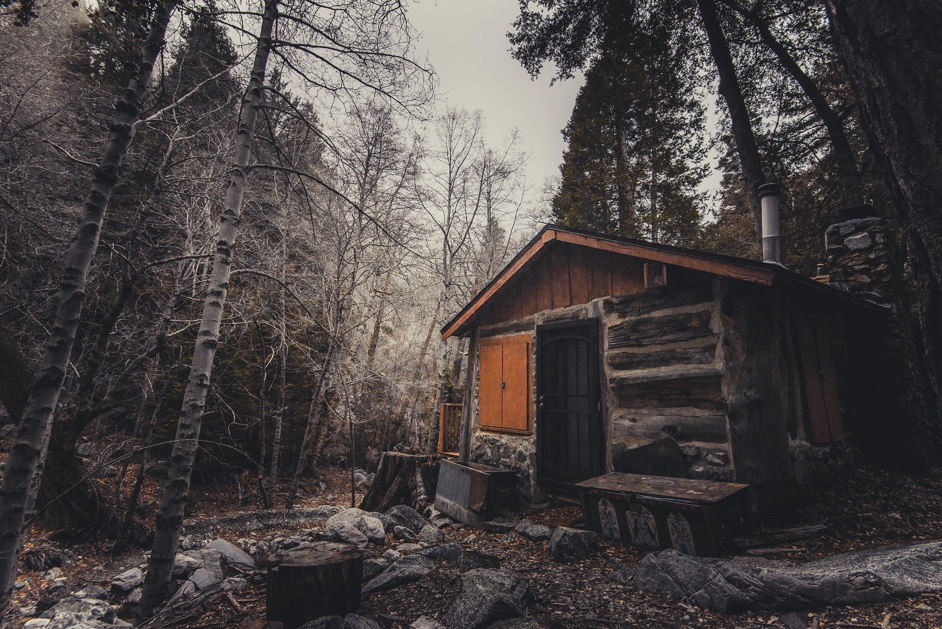 cabin, trees, nature, forest HD Wallpaper