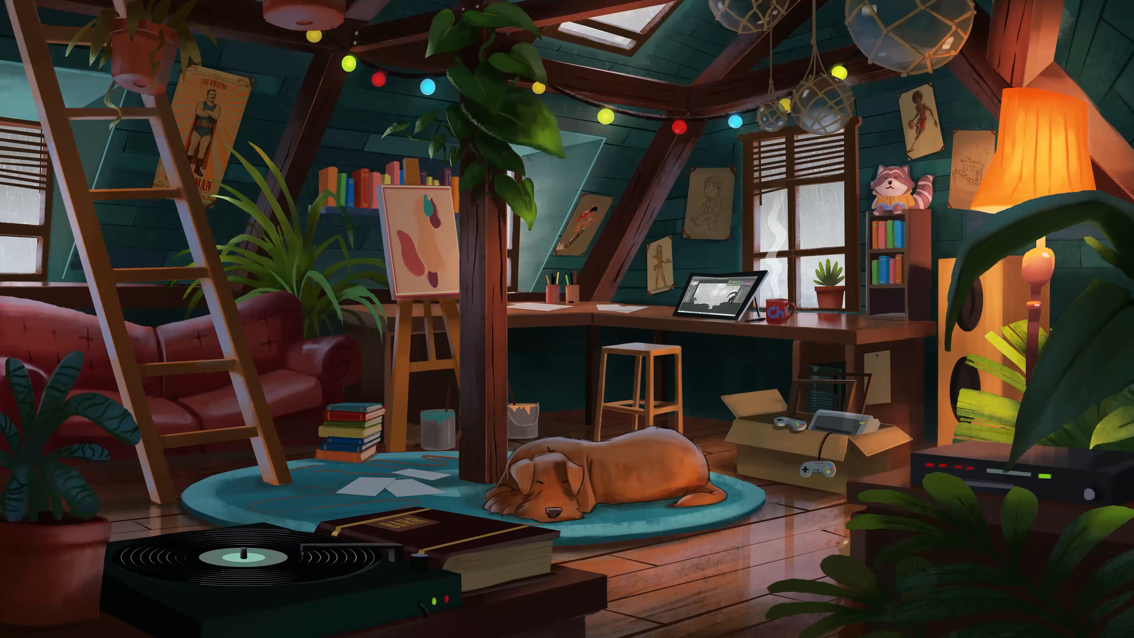 4K, flowerpot, raccoons, dog, attics, vinyl, ladder, paint can, Hugo Barret Castan, couch, plants, books HD Wallpaper