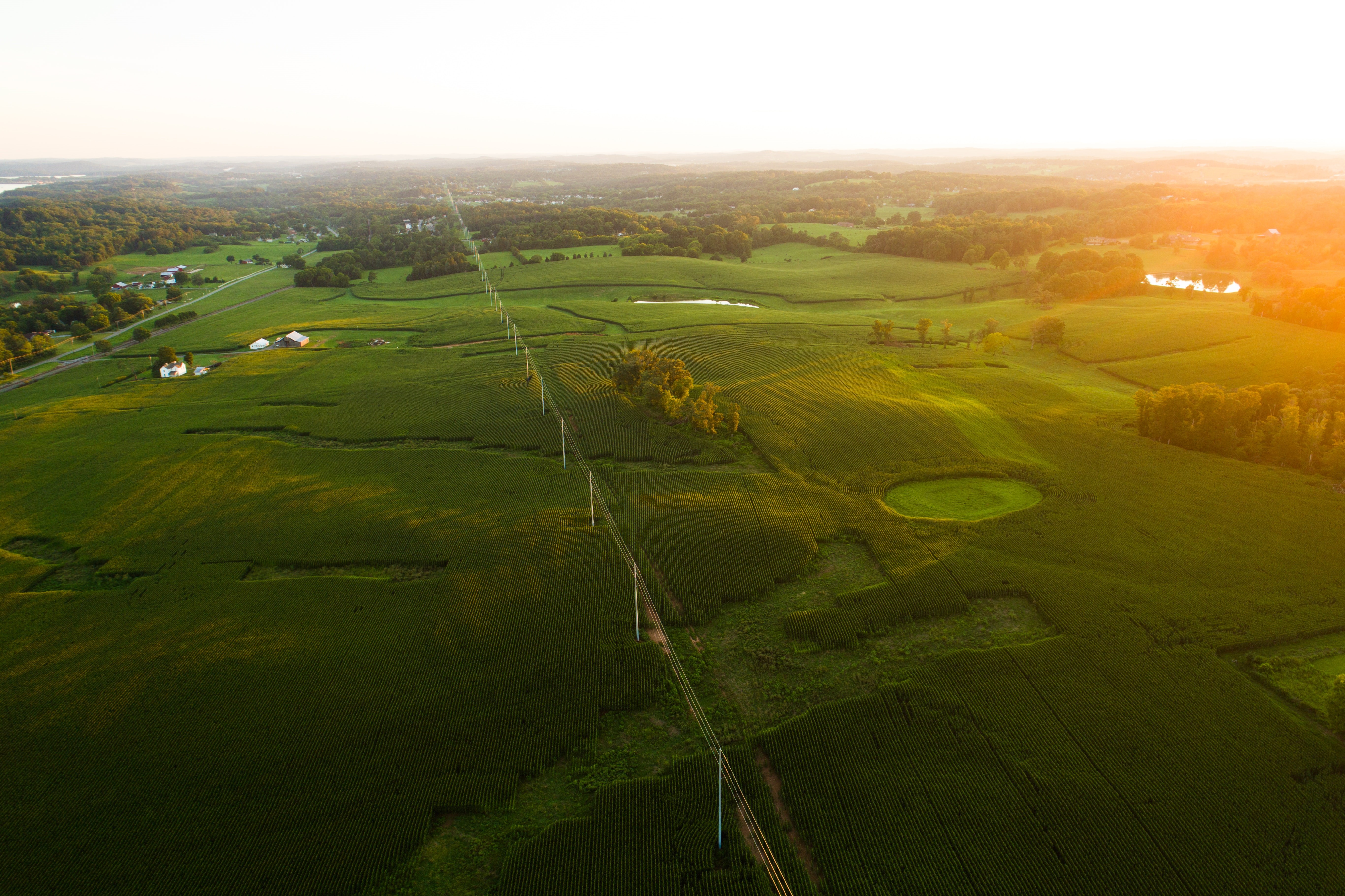 4K, sunrise, aerial view, landscape, power lines, trees, Tennessee HD Wallpaper