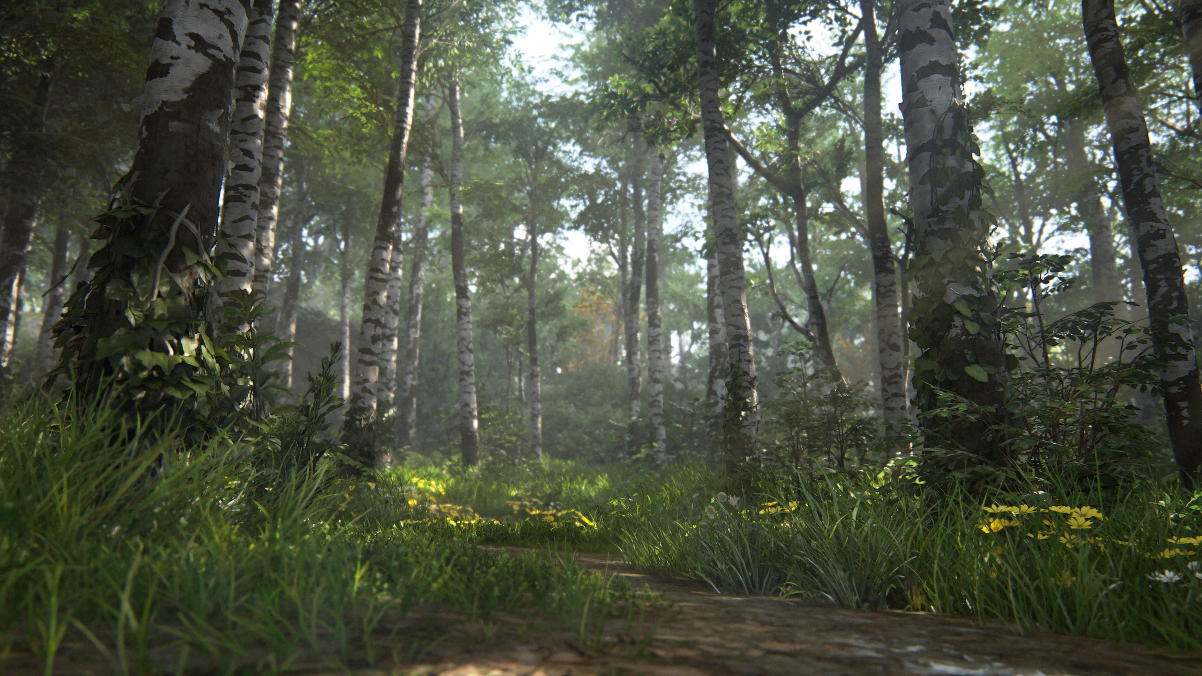 4K, Naughty Dog, video game art, The Last of Us, The Last of Us 2, video games HD Wallpaper