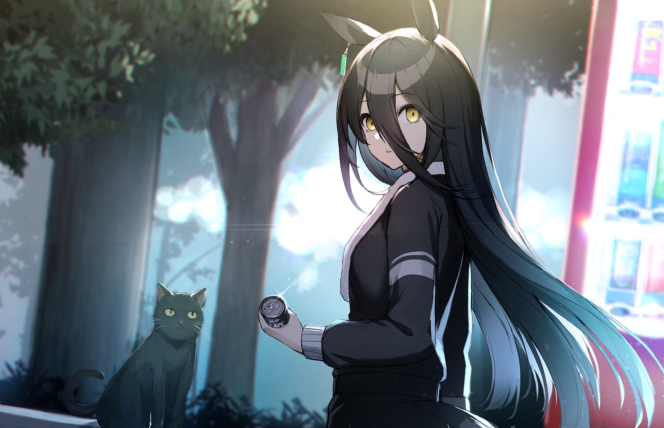anime, cats, Uma Musume Pretty Derby, Manhattan Cafe (Uma Musume), animal ears, anime girls HD Wallpaper