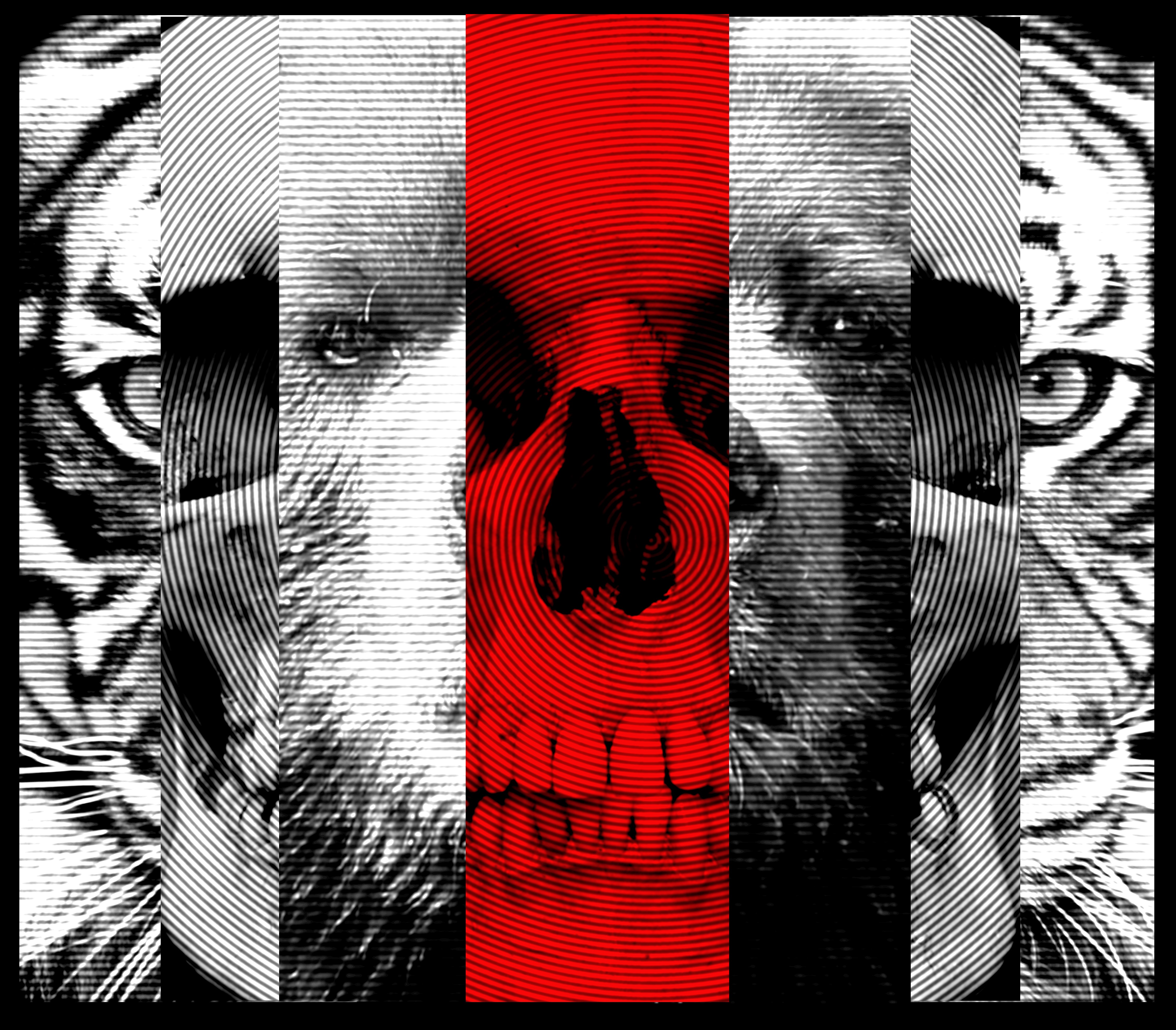 4K, collage, skull, digital art, abstract HD Wallpaper