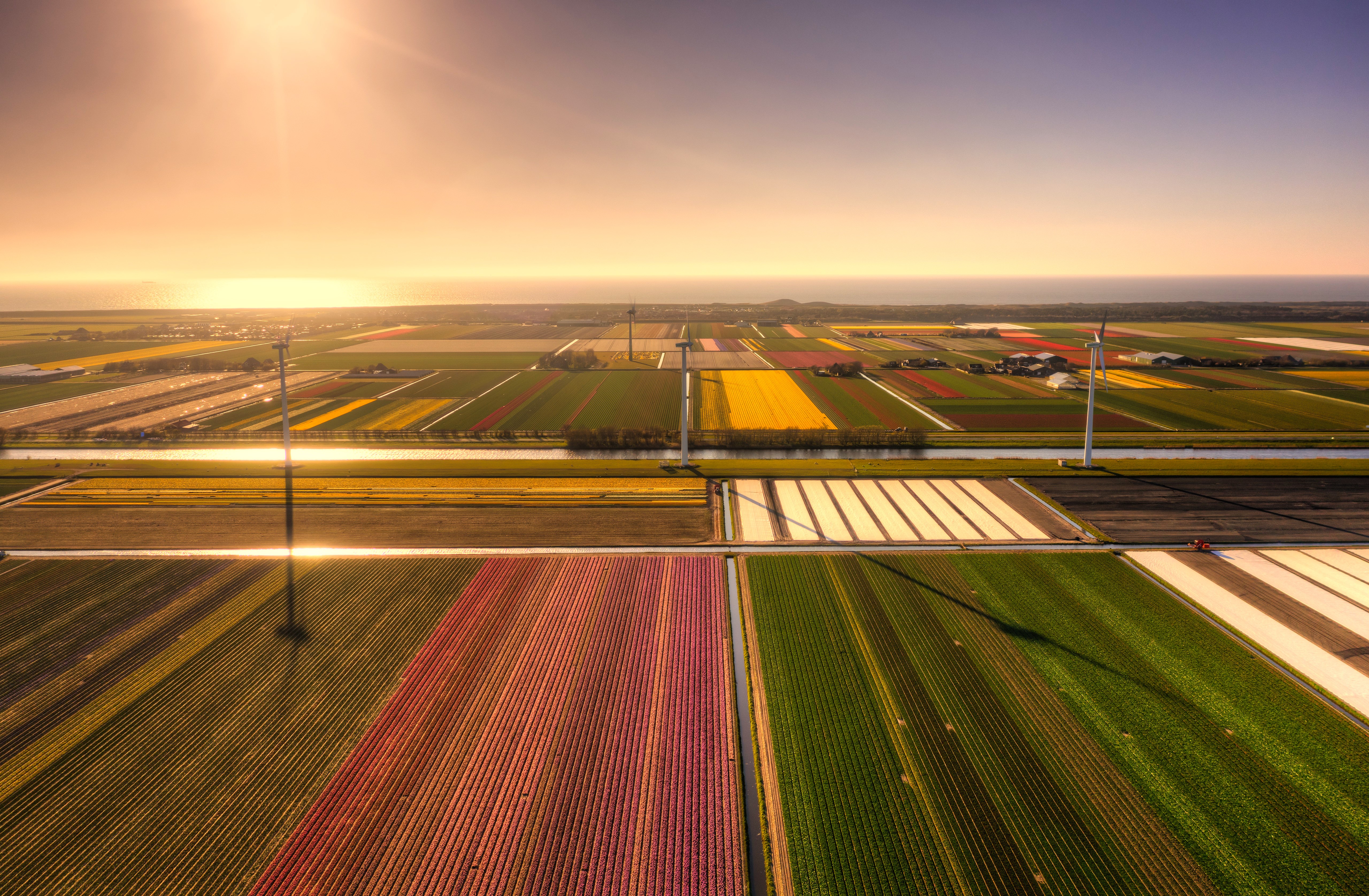 4K, Netherlands, outdoors, landscape, nature, warm light, field, sunset, photography HD Wallpaper