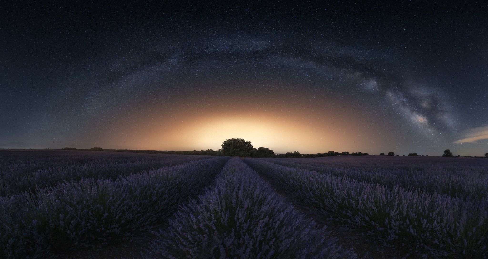sky, field, night, stars, landscape, Milky Way, horizon, lavender, nature, Jorge Ruiz Dueso HD Wallpaper