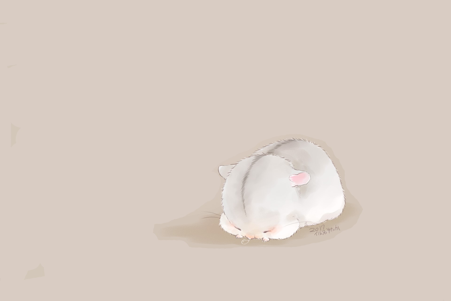 hamster, sleeping, furry HD Wallpaper