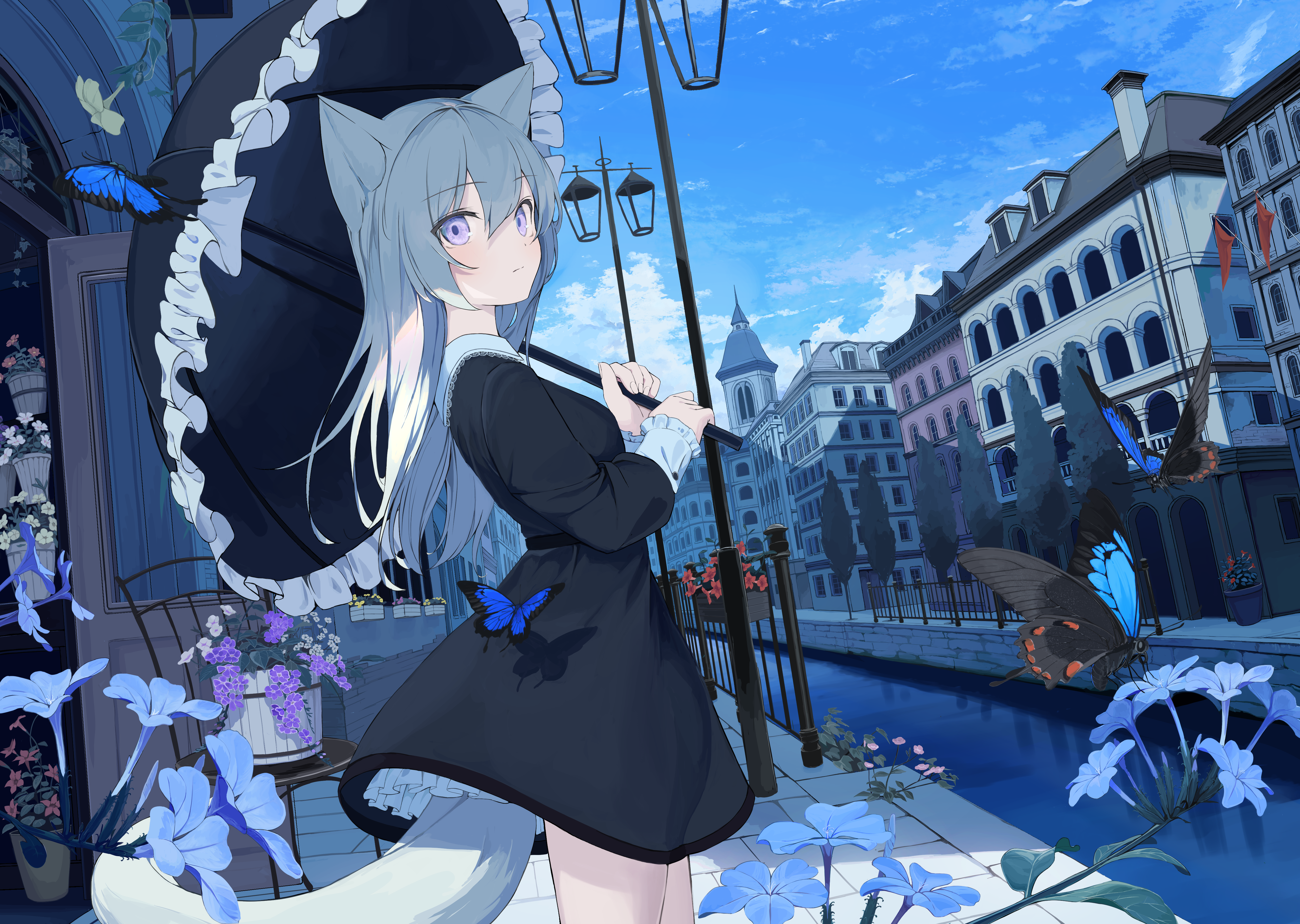 4K, tail, anime, anime girls, mikisai, purple eyes, flowers, animal ears, gray hair, umbrella, dress, butterfly, city HD Wallpaper