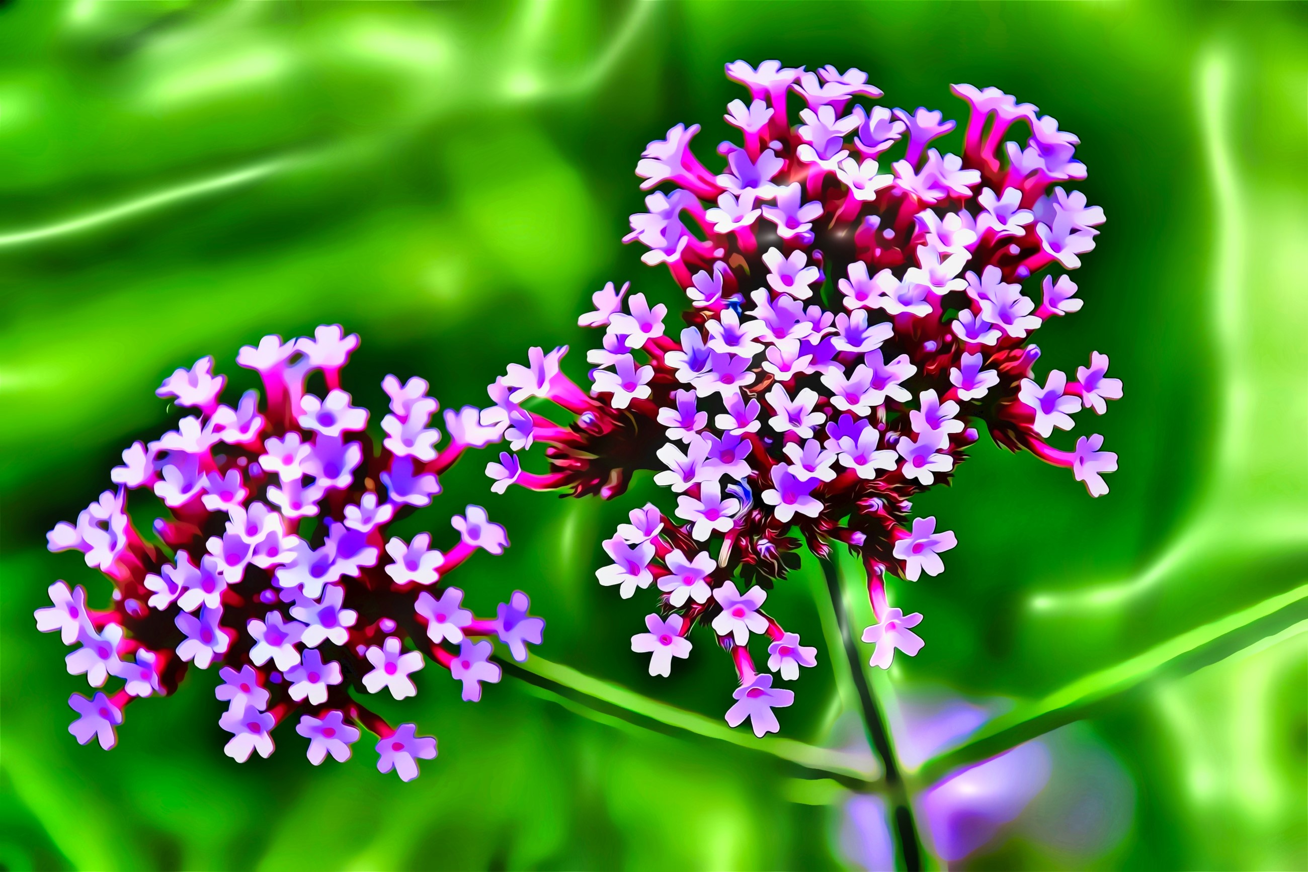 flowers, artwork, wildflowers, blooming, landscape, nature, plants, macro, painting, blossom, grass HD Wallpaper