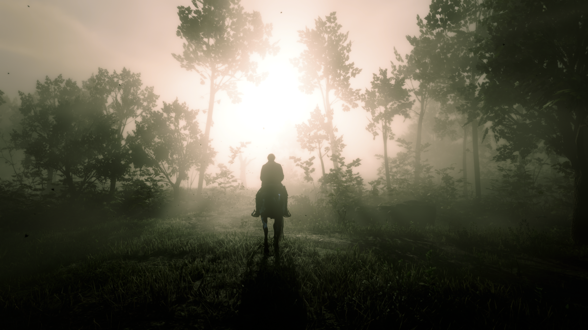 video games, PC gaming, screen shot, Red Dead Redemption 2 HD Wallpaper