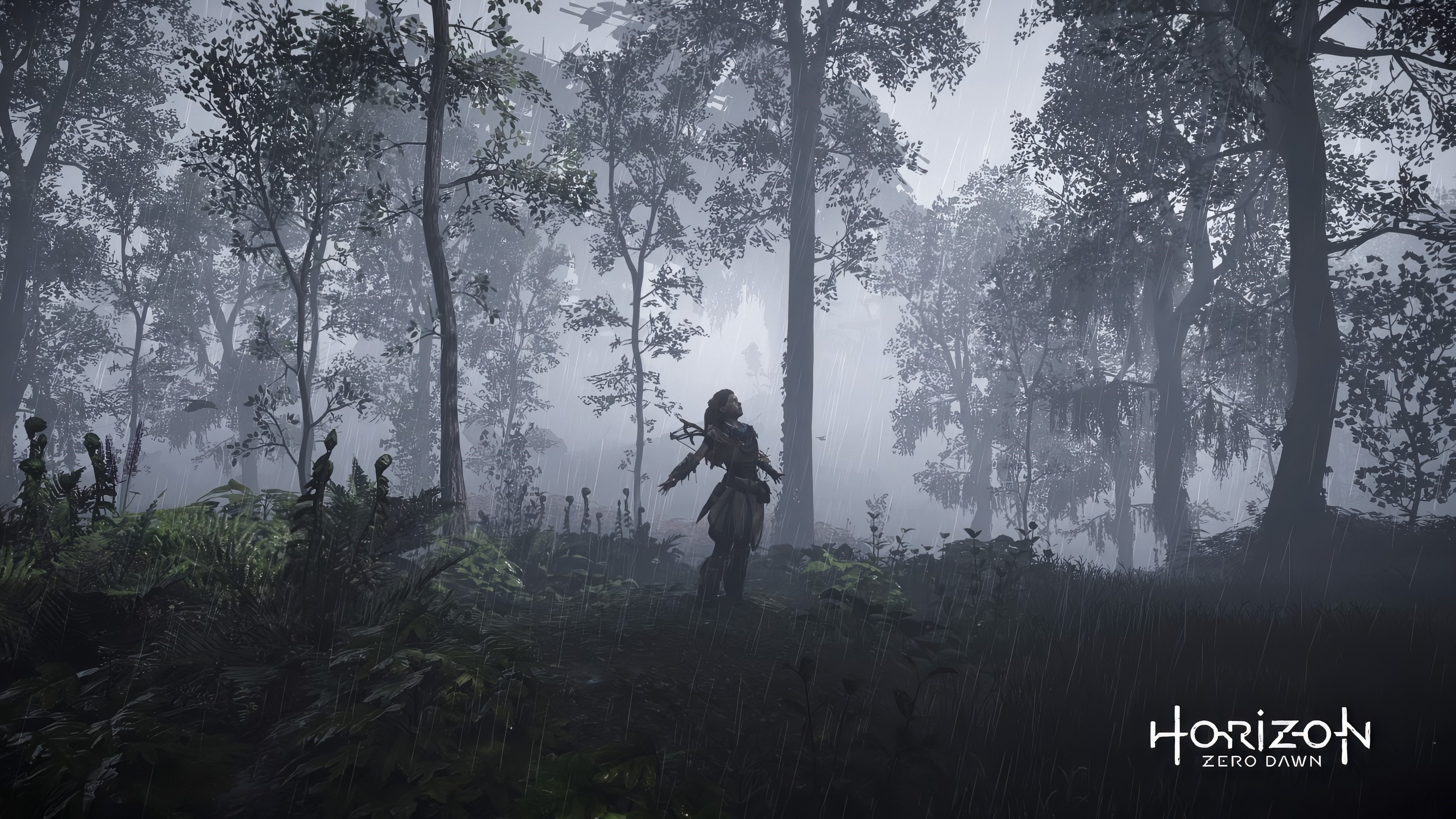 4K, video game characters, Horizon: Zero Dawn, horizon zero dawn, Aloy (Horizon: Zero Dawn), rain, low saturation, video game girls, screen shot, PlayStation, protagonist, video games HD Wallpaper
