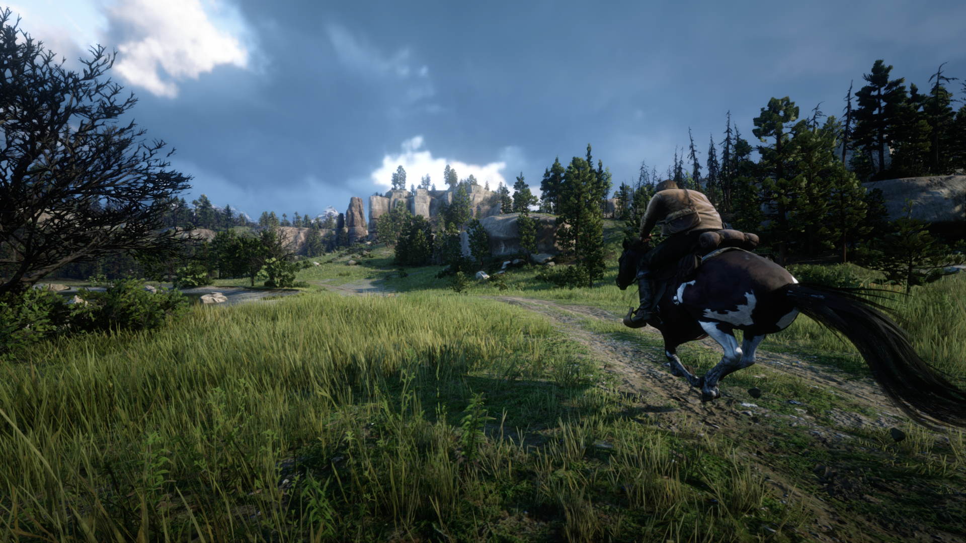 screen shot, PC gaming, video games, Red Dead Redemption 2 HD Wallpaper