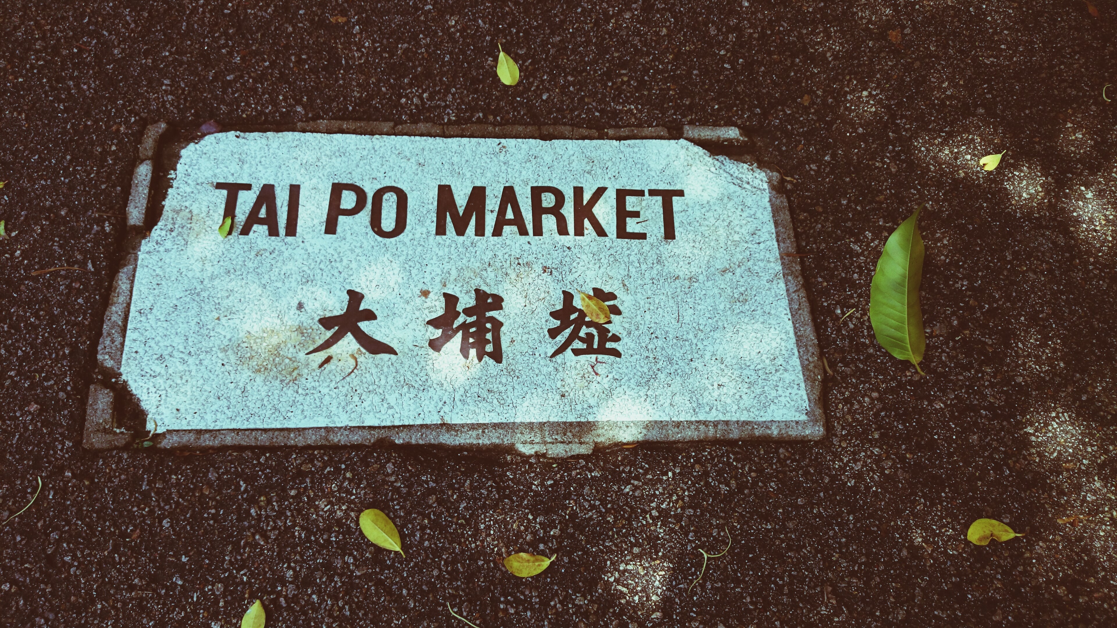 4K, Asia, fallen leaves, Hong Kong, sign HD Wallpaper
