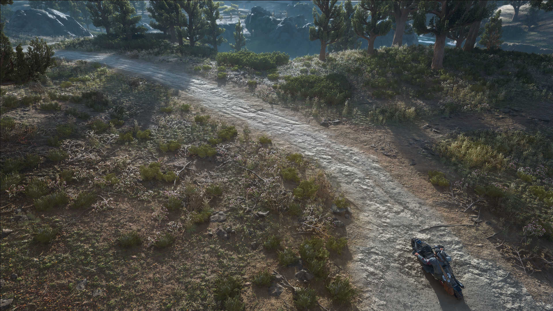 Deacon St John, screen shot, Days Gone HD Wallpaper