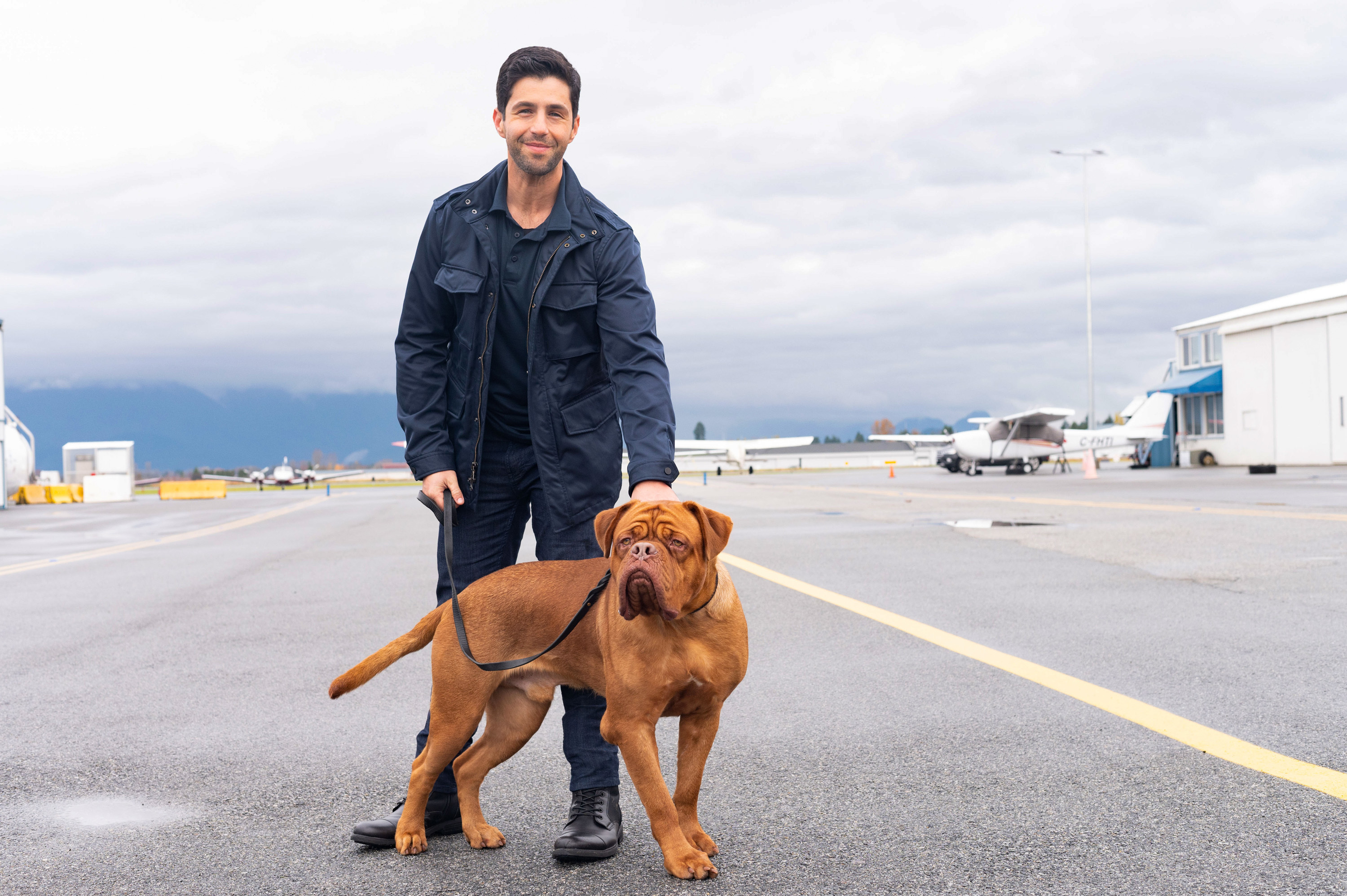 Josh Peck with Dogue de Bordeaux on tarmac HD Wallpaper