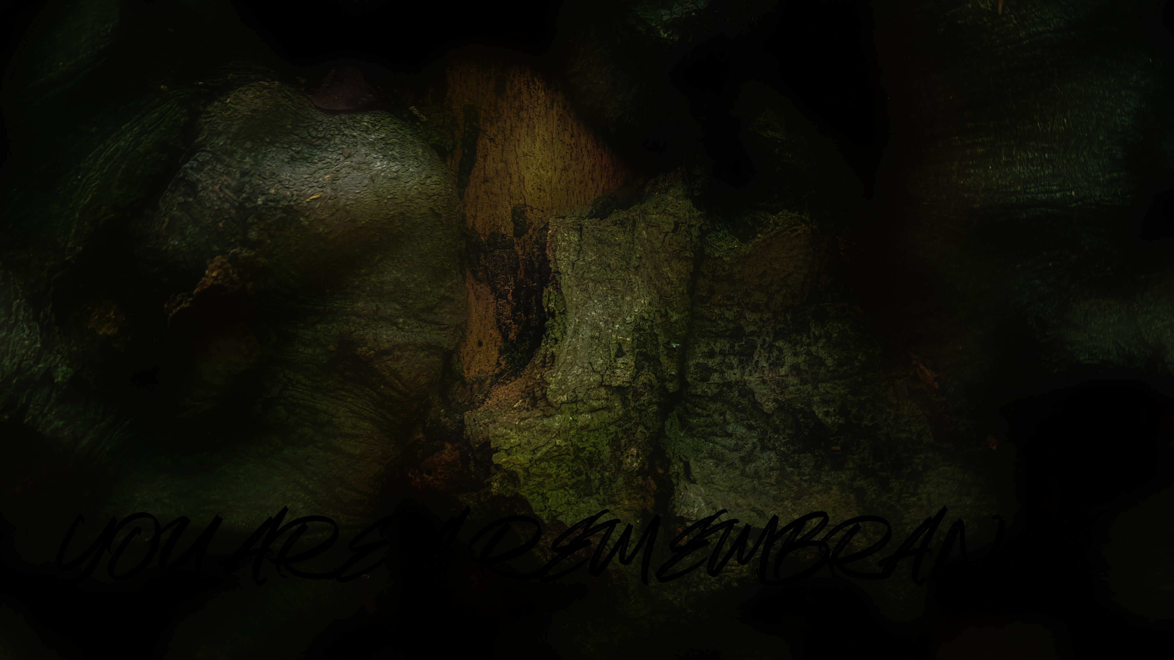 4K, abstract, nature, plants, eco HD Wallpaper