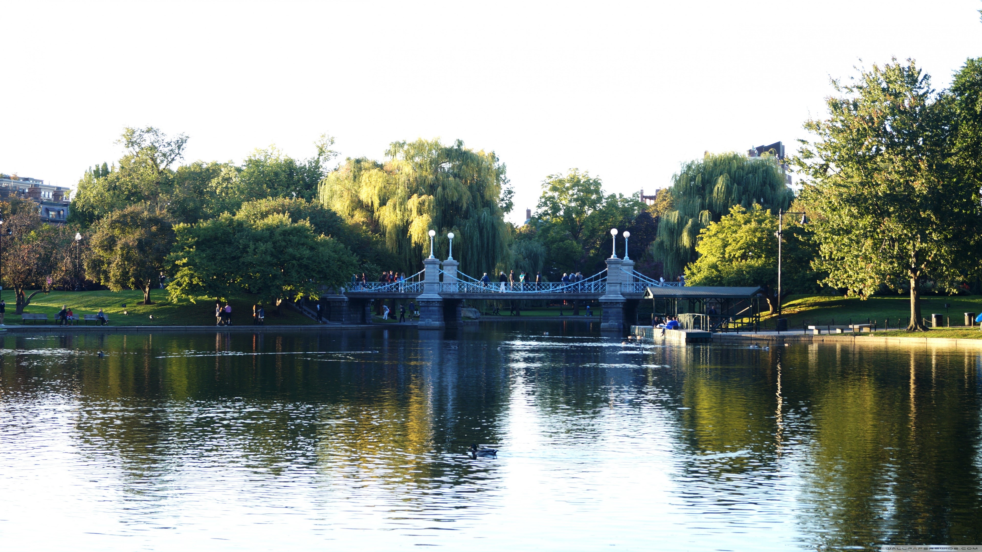 4K, park, bridge, nature, urban HD Wallpaper