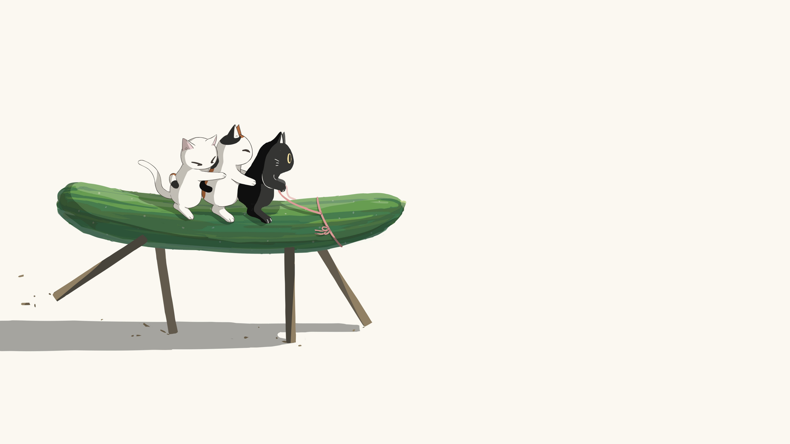 avogado6, Cucumber, cats HD Wallpaper
