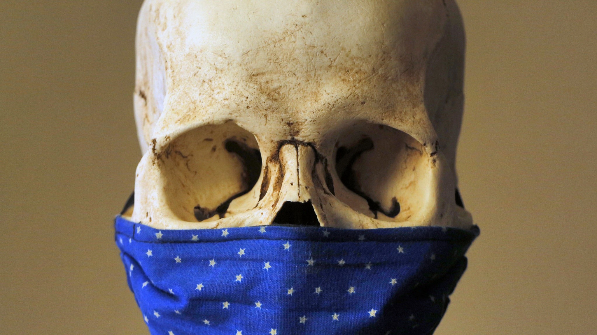 skull, simple background, pandemic, death, mask HD Wallpaper