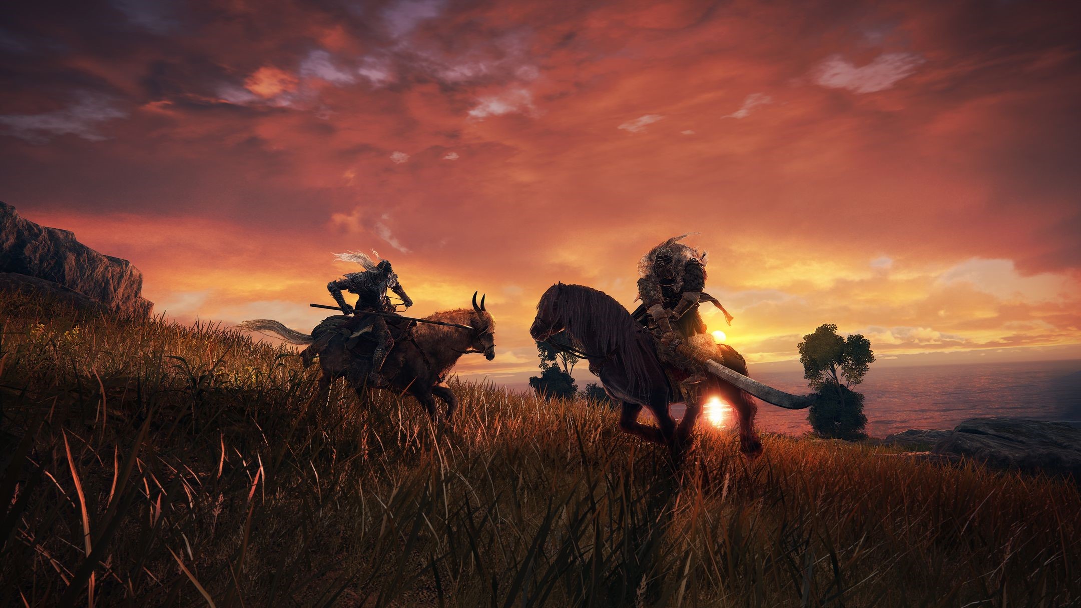 screen shot, Elden Ring, From Software, artwork HD Wallpaper