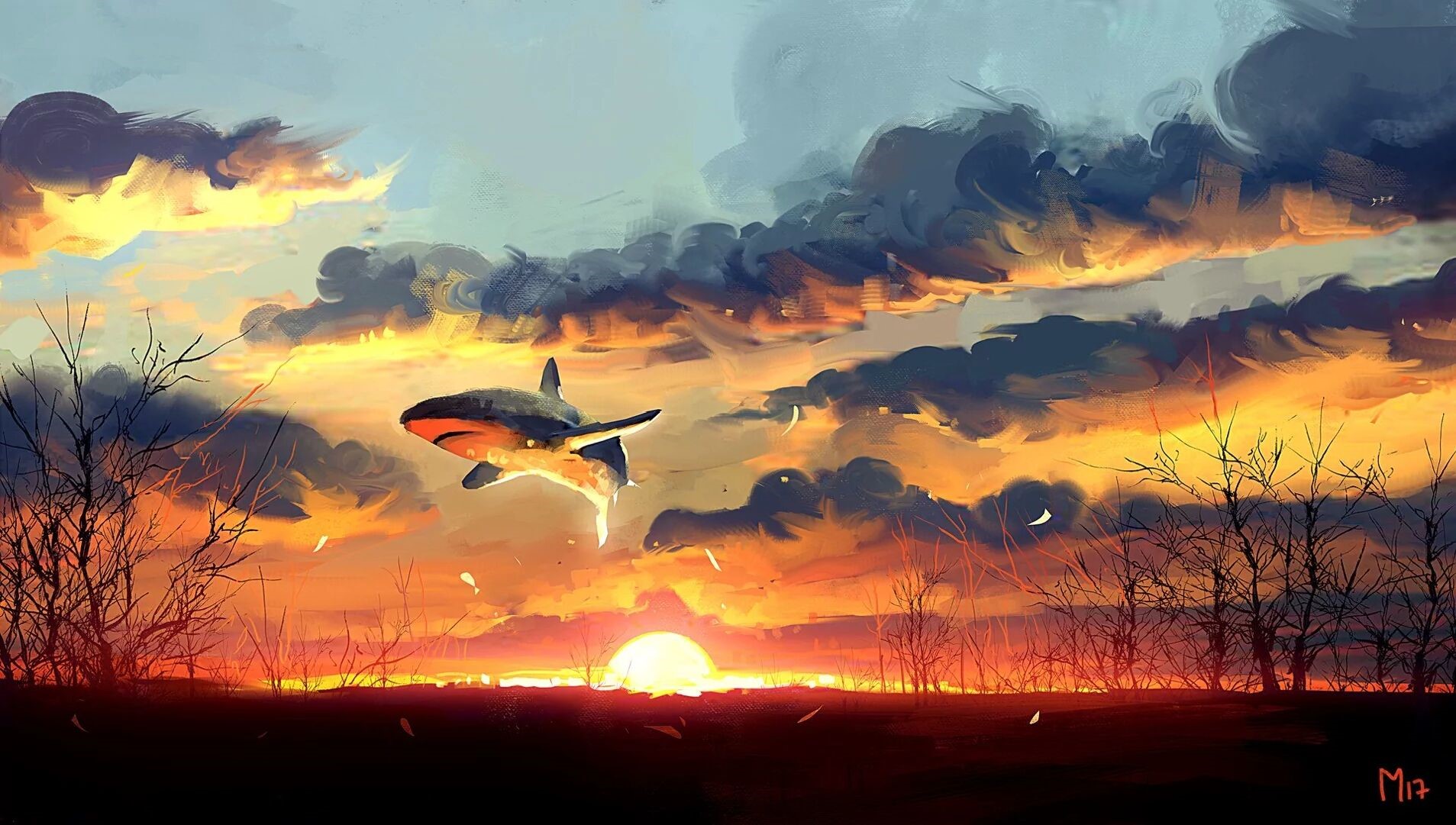 shark HD Wallpaper