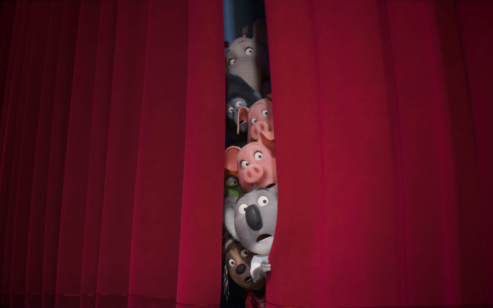 Sing 2 Characters Peeking Behind Red Curtains HD Wallpaper