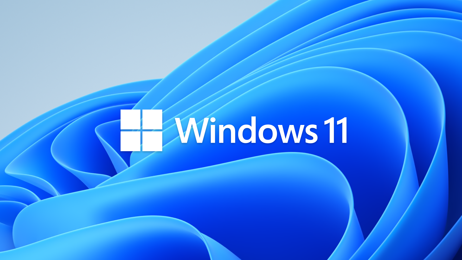 Windows 11 Logo HD Wallpaper