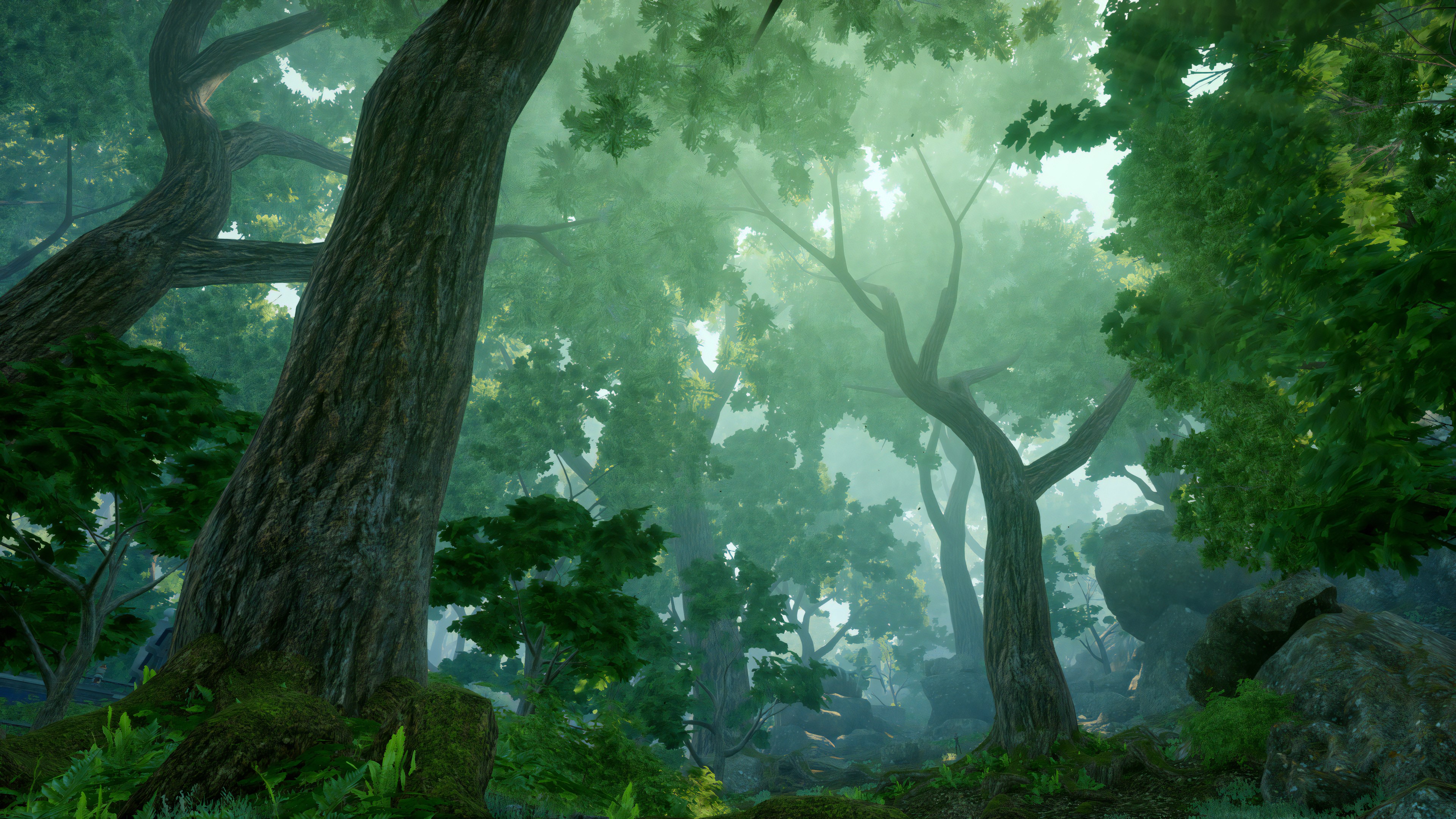 4K, RPG, trees, video games, Dragon Age Inquisition HD Wallpaper