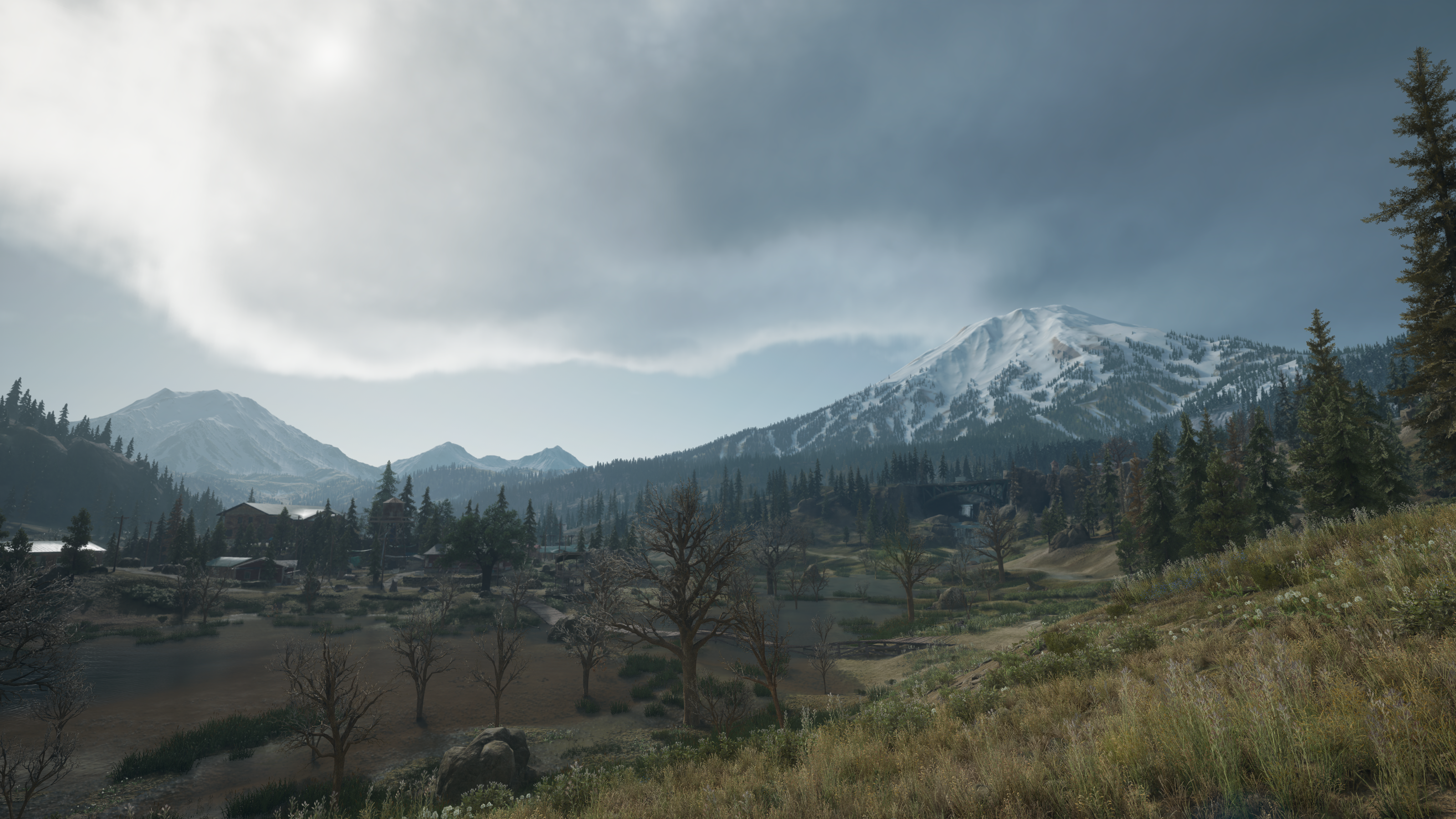 Days Gone, screen shot, video games HD Wallpaper
