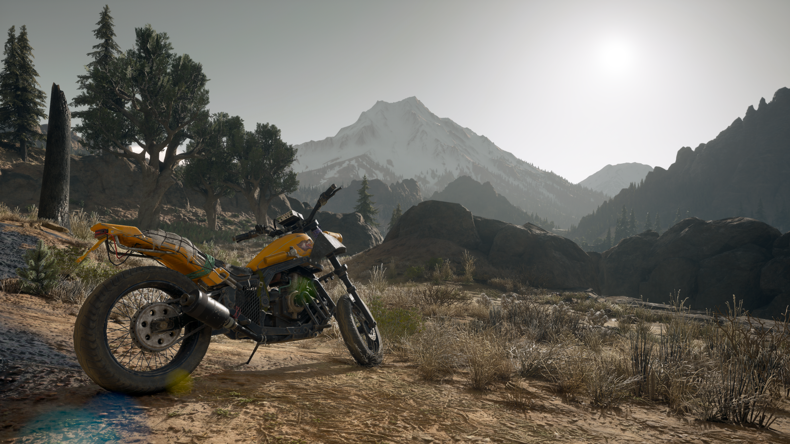 video games, Days Gone, screen shot HD Wallpaper