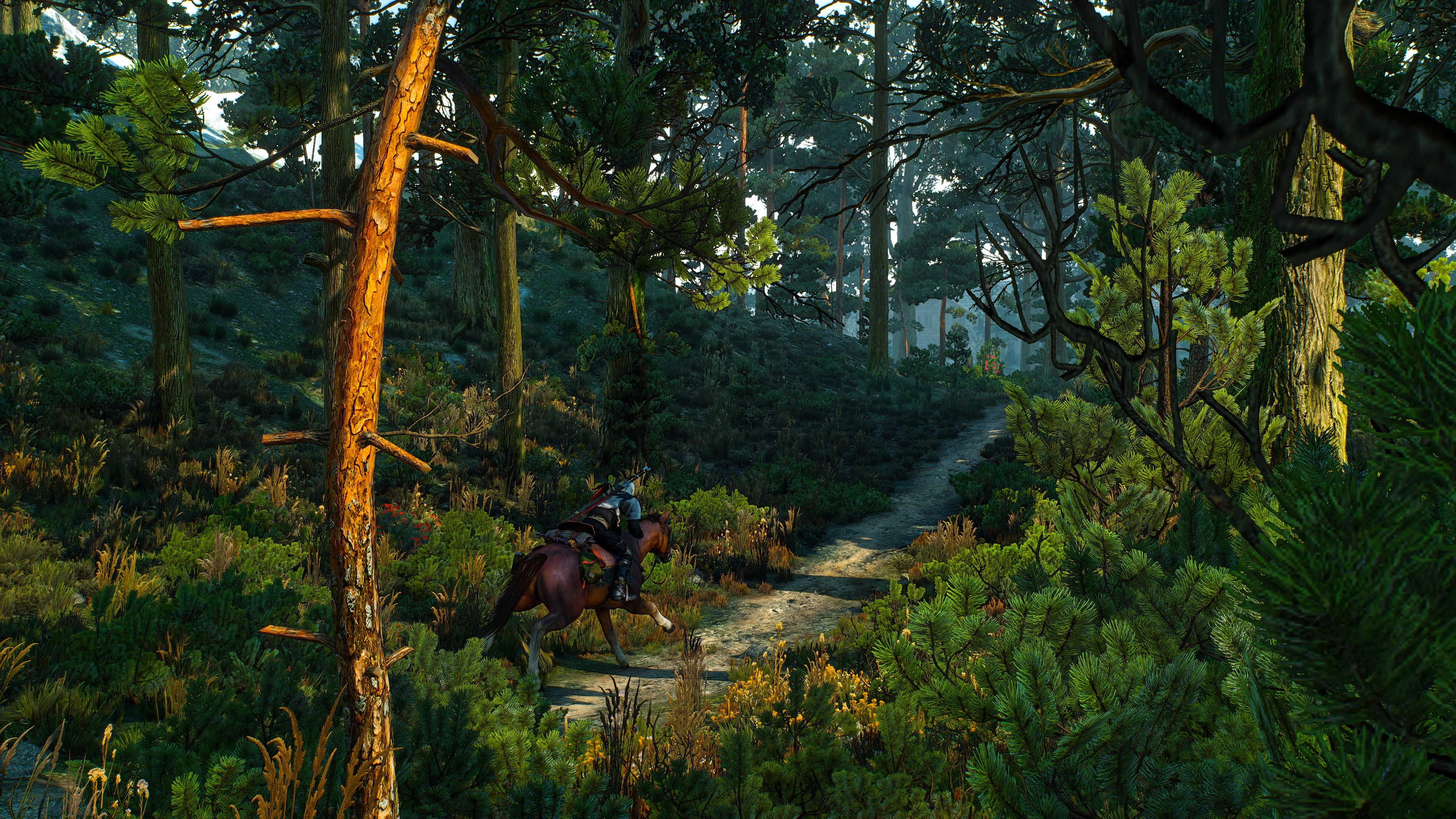 4K, The Witcher, The Witcher 3: Wild Hunt, Geralt of Rivia HD Wallpaper