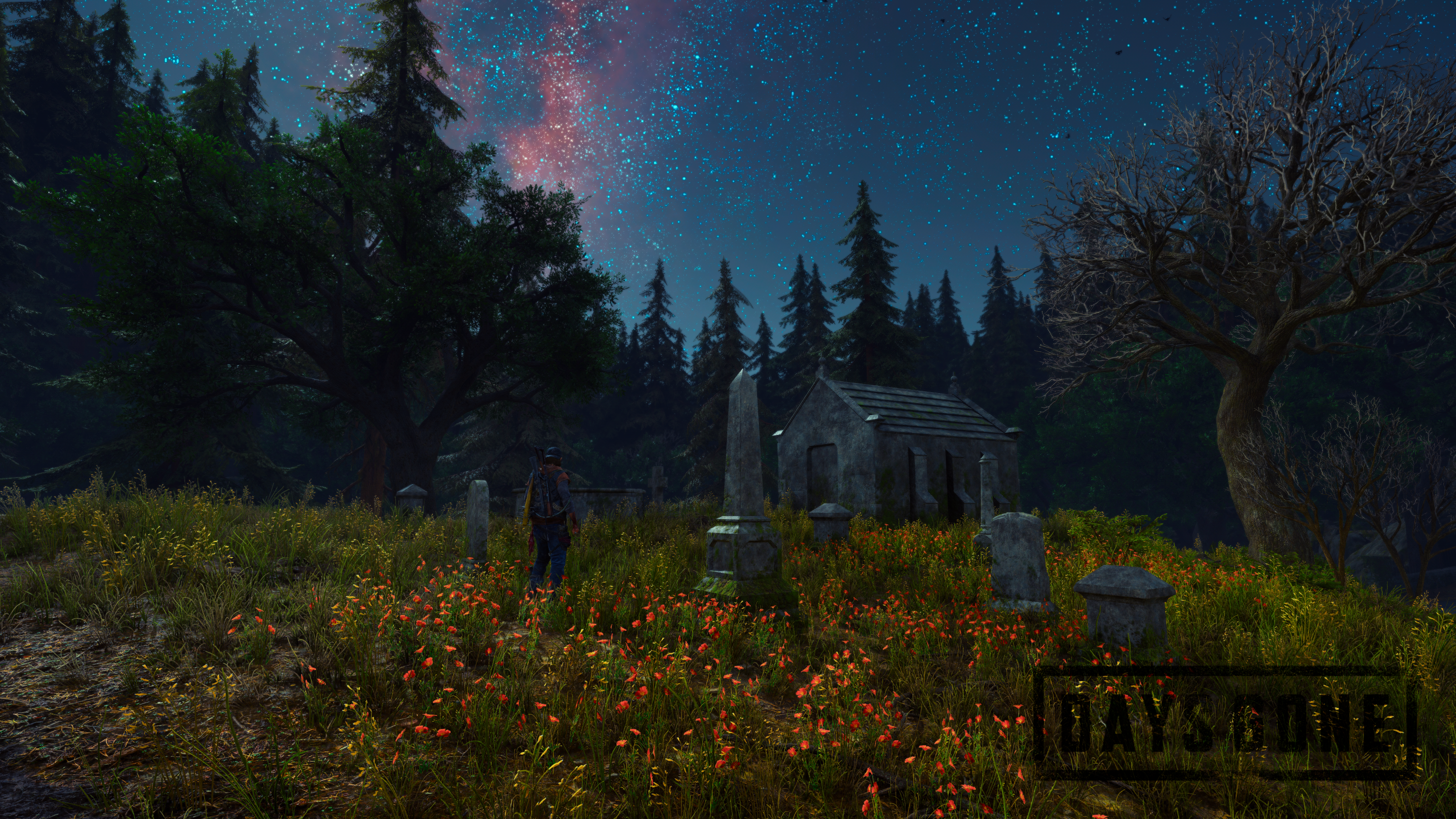 video games, screen shot, Days Gone HD Wallpaper