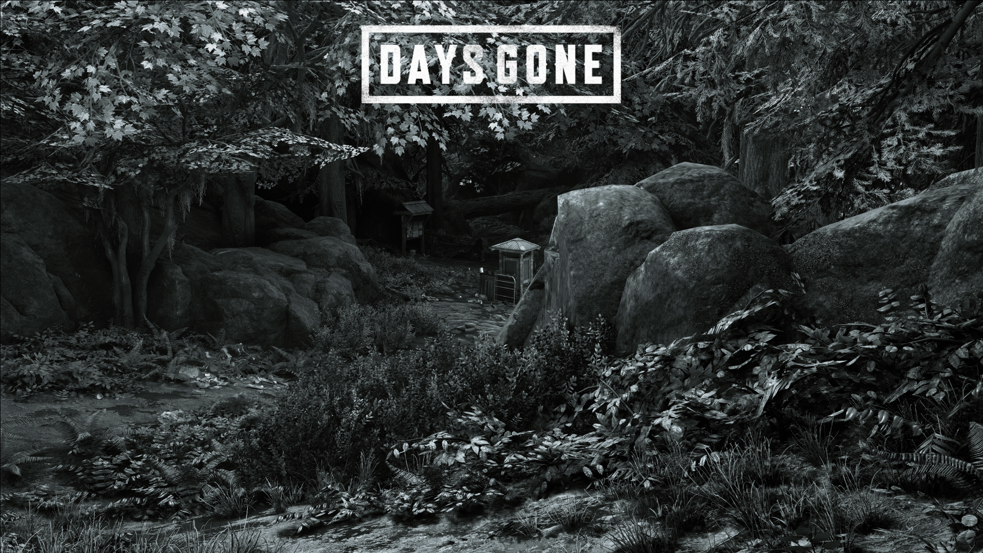 video games, screen shot, Days Gone HD Wallpaper