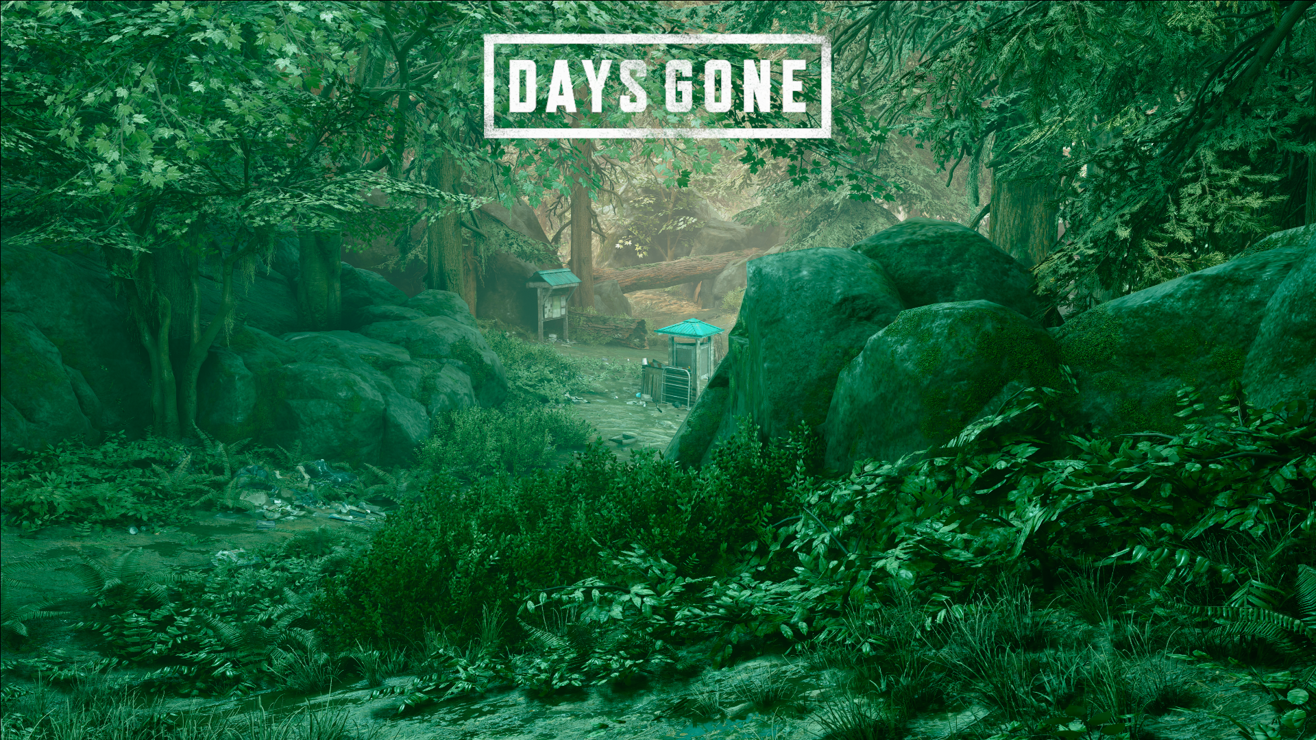 video games, screen shot, Days Gone HD Wallpaper