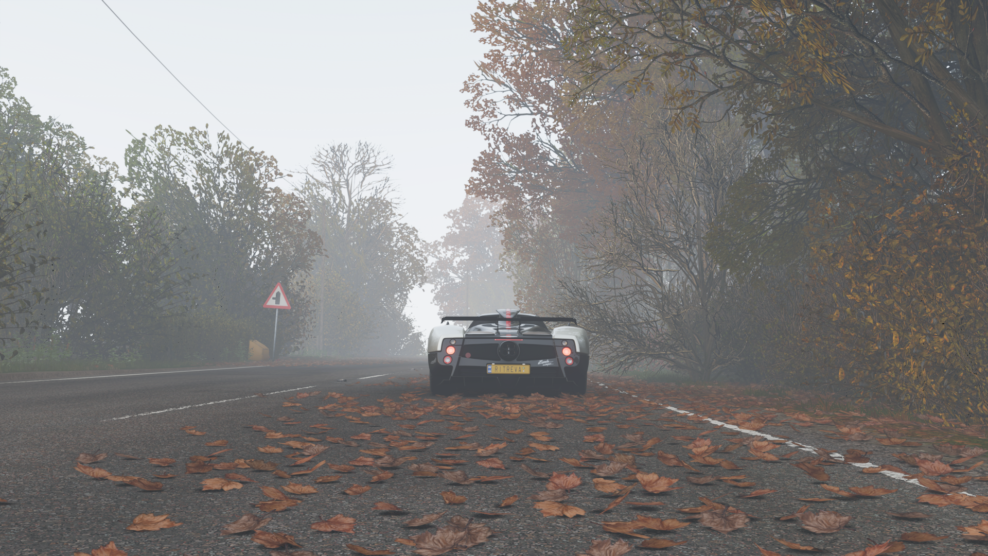 fallen leaves, video games, car, Pagani, Forza Horizon 4, vehicle, Pagani Zonda Cinque HD Wallpaper