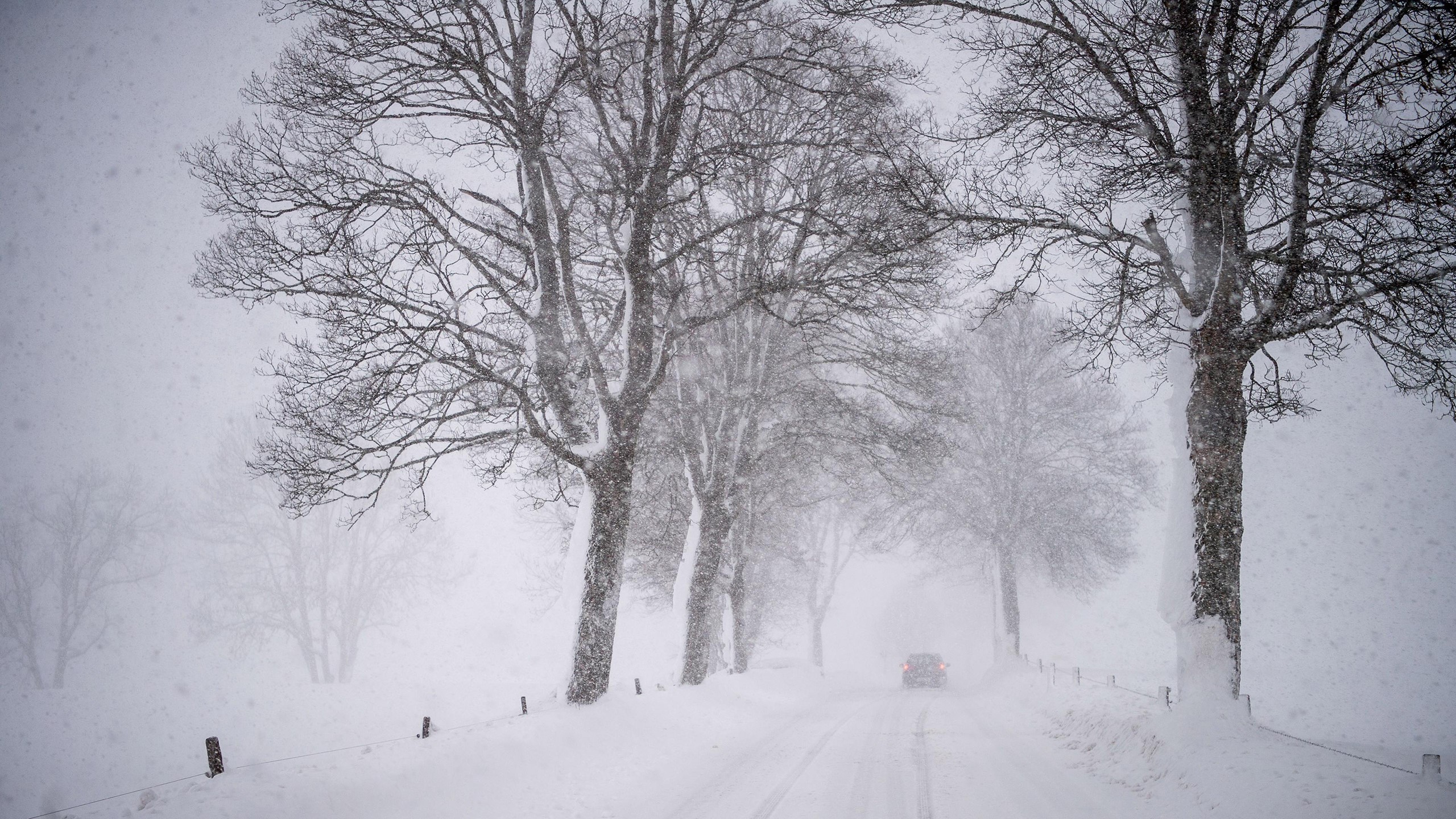winter, car, nature, snow, trees, storm, landscape, road HD Wallpaper