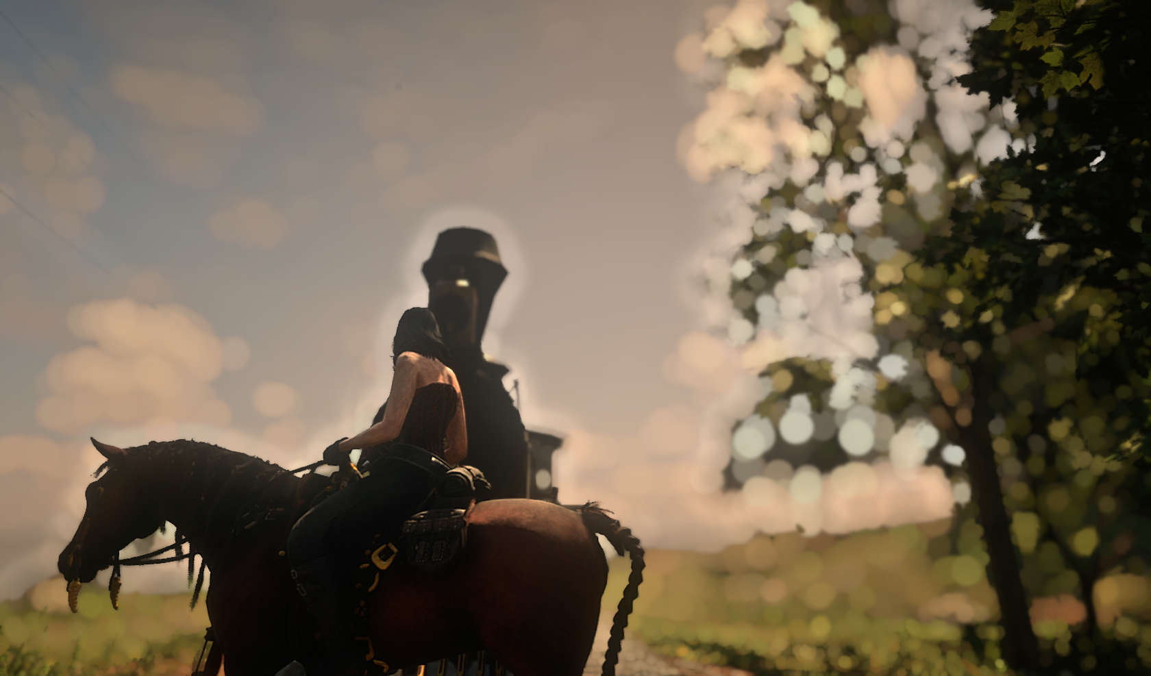 Red Dead Redemption 2, train, Online games, red corset, horse HD Wallpaper