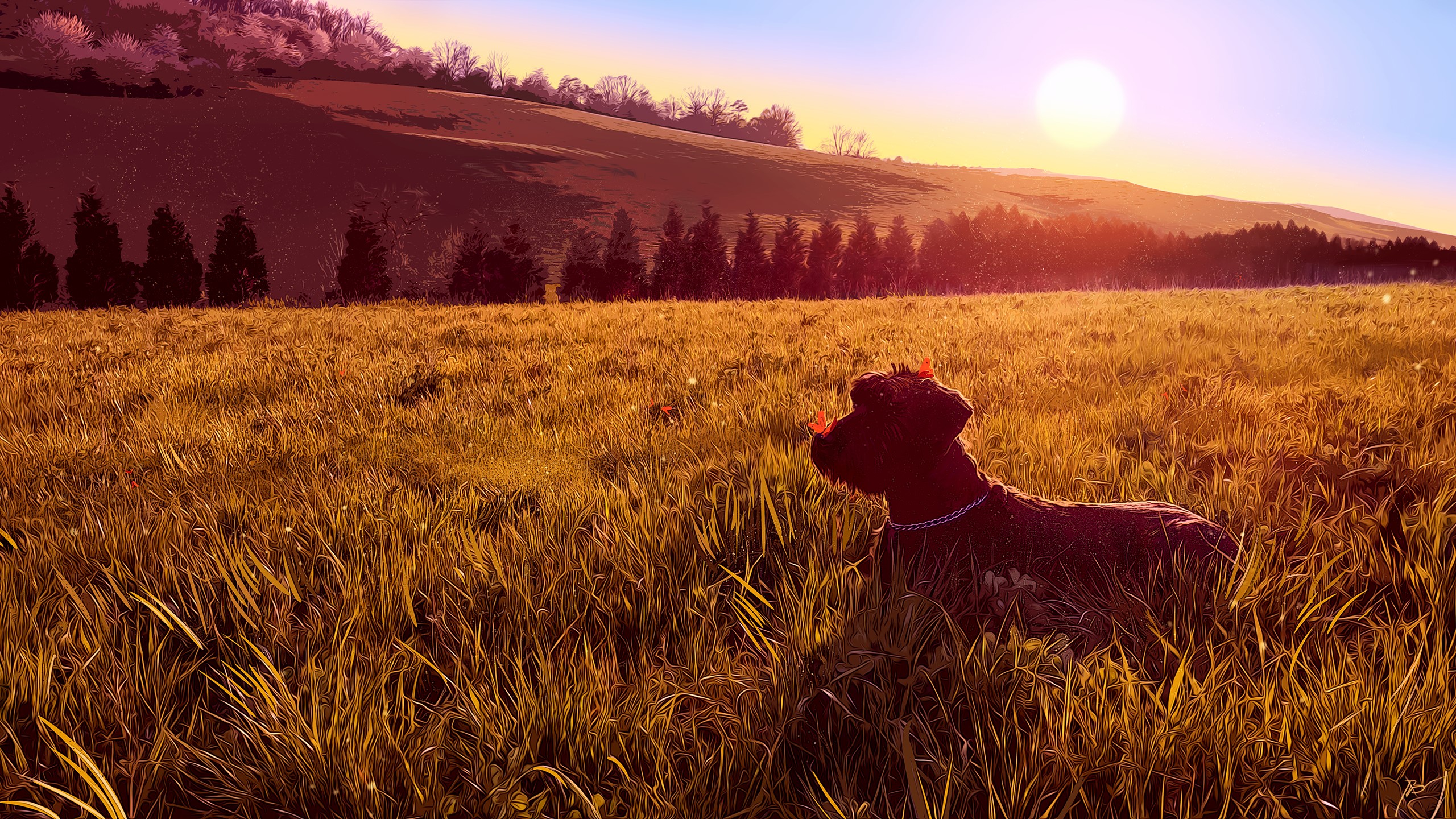 JoeyJazz, photography, digital art, dog HD Wallpaper