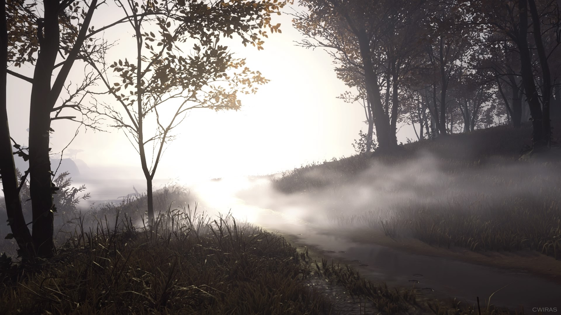 PlayStation 4, forest, PlayStation, white, grass, video games, screen shot, Ghost of Tsushima, Sony HD Wallpaper