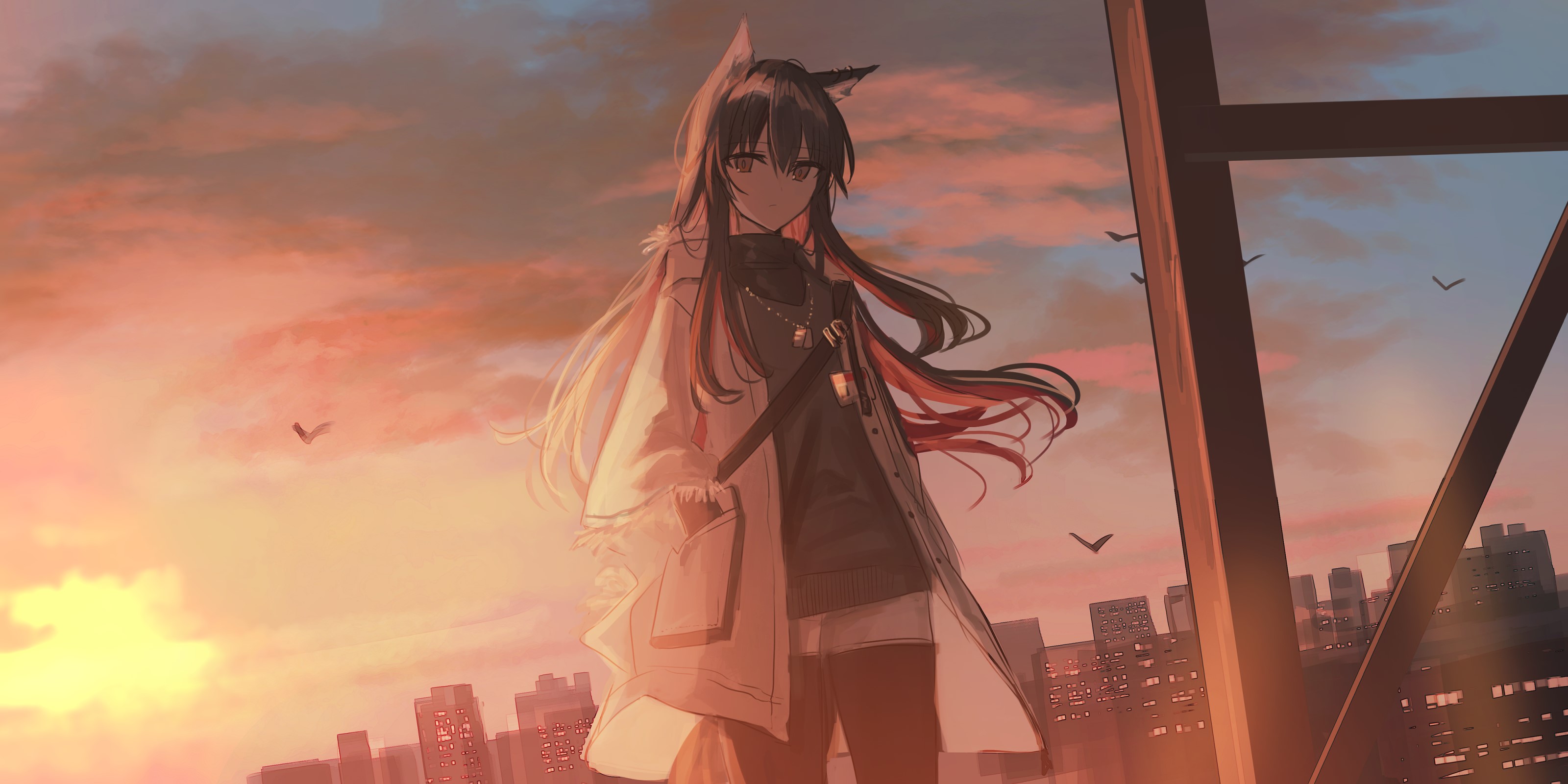 birds, Chihuri 45, anime, Texas (Arknights), anime girls, animal ears, Arknights HD Wallpaper