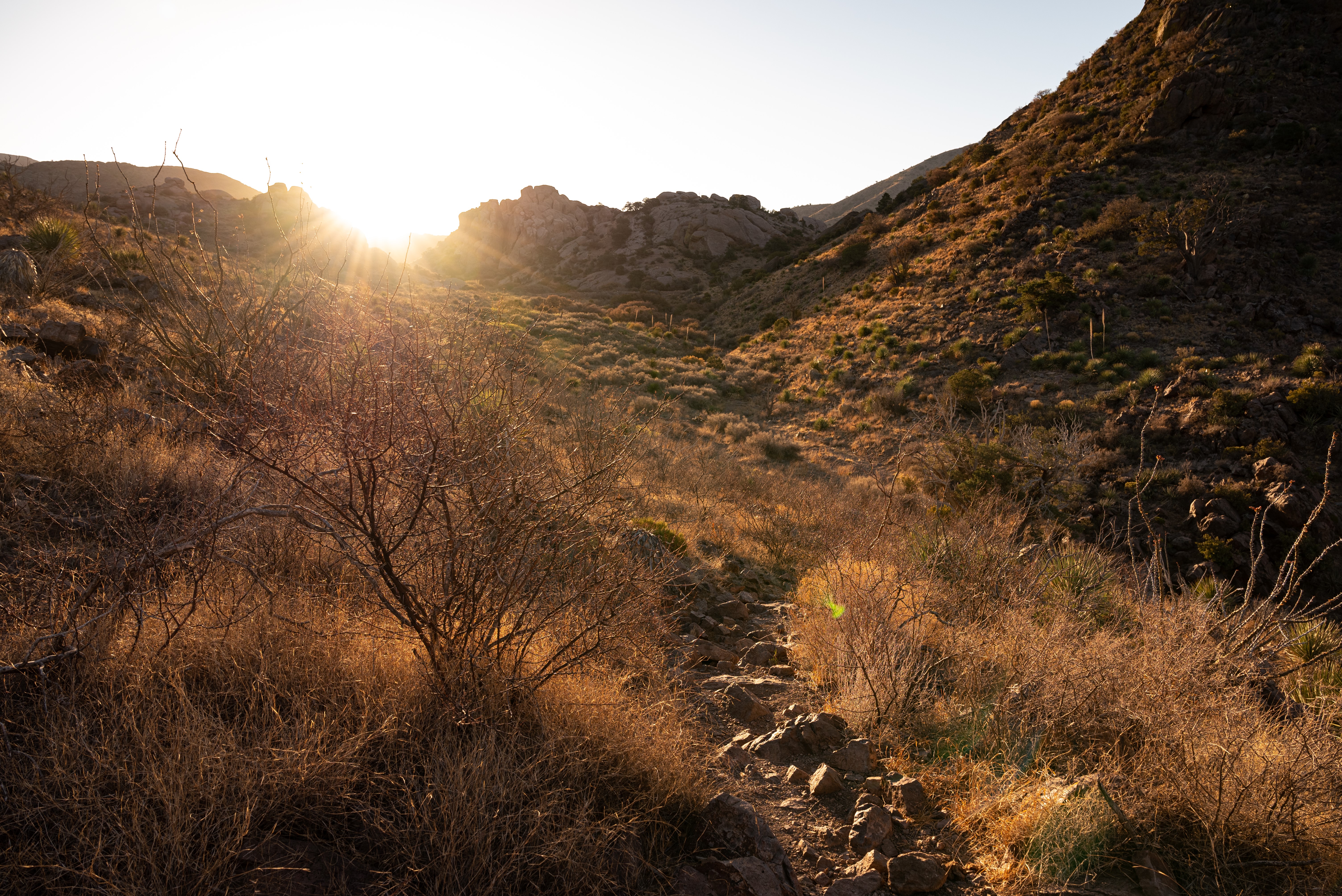4K, nature, sunrise, landscape, dry grass, hills, sunlight HD Wallpaper