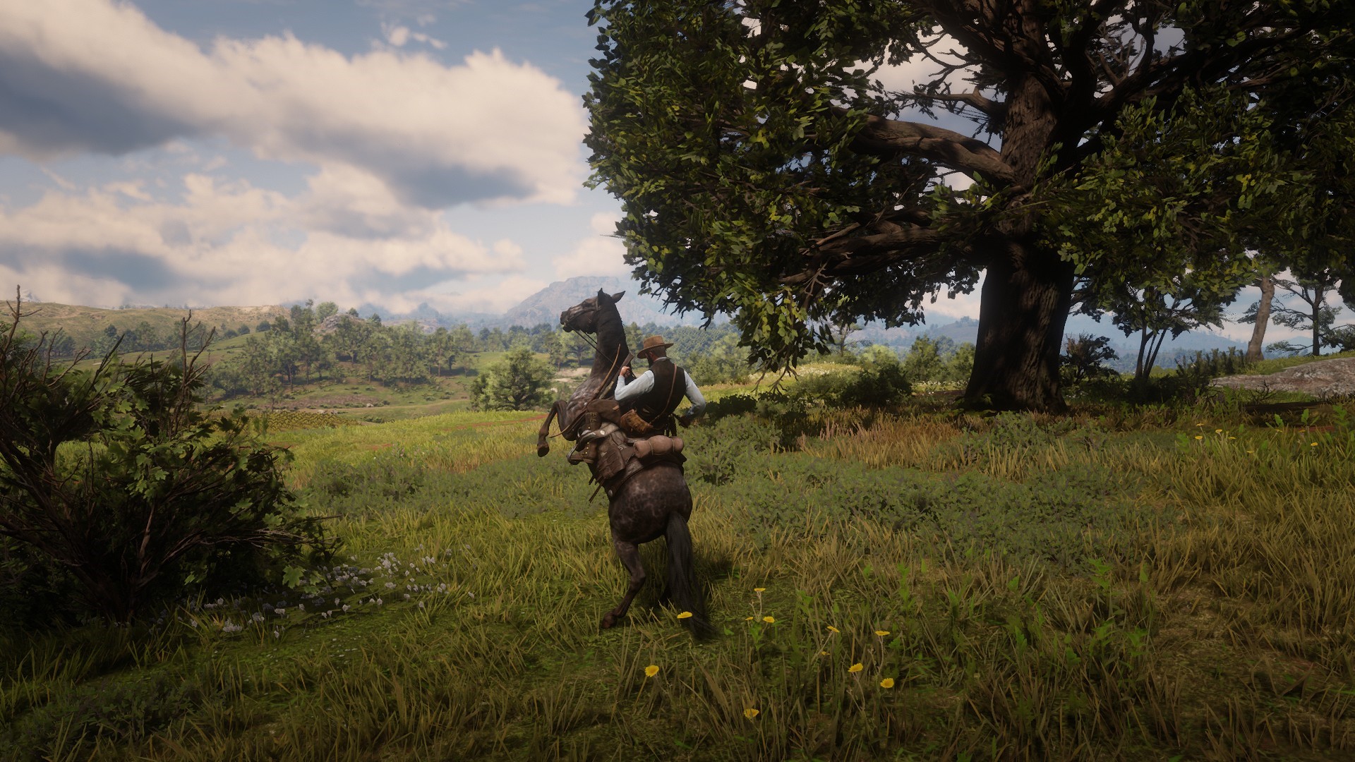 video game characters, Red Dead Redemption 2, Arthur Morgan HD Wallpaper