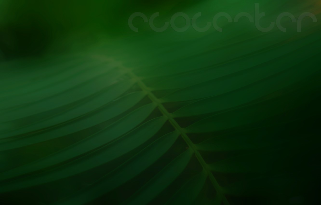 eco, landscape, blurred, plants, nature, green, text HD Wallpaper