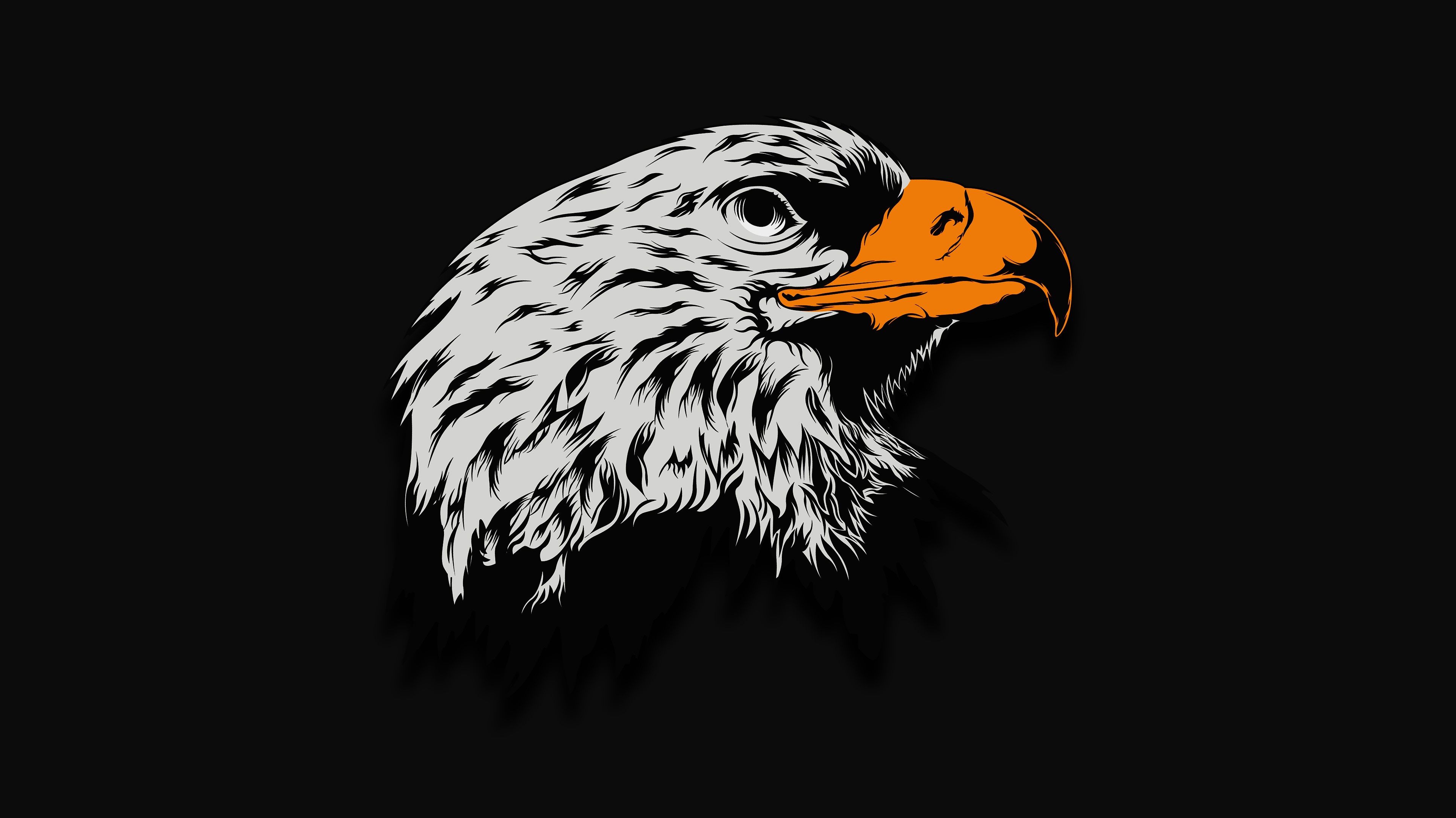 4K, eagle, Besiktas J.K., illustration HD Wallpaper