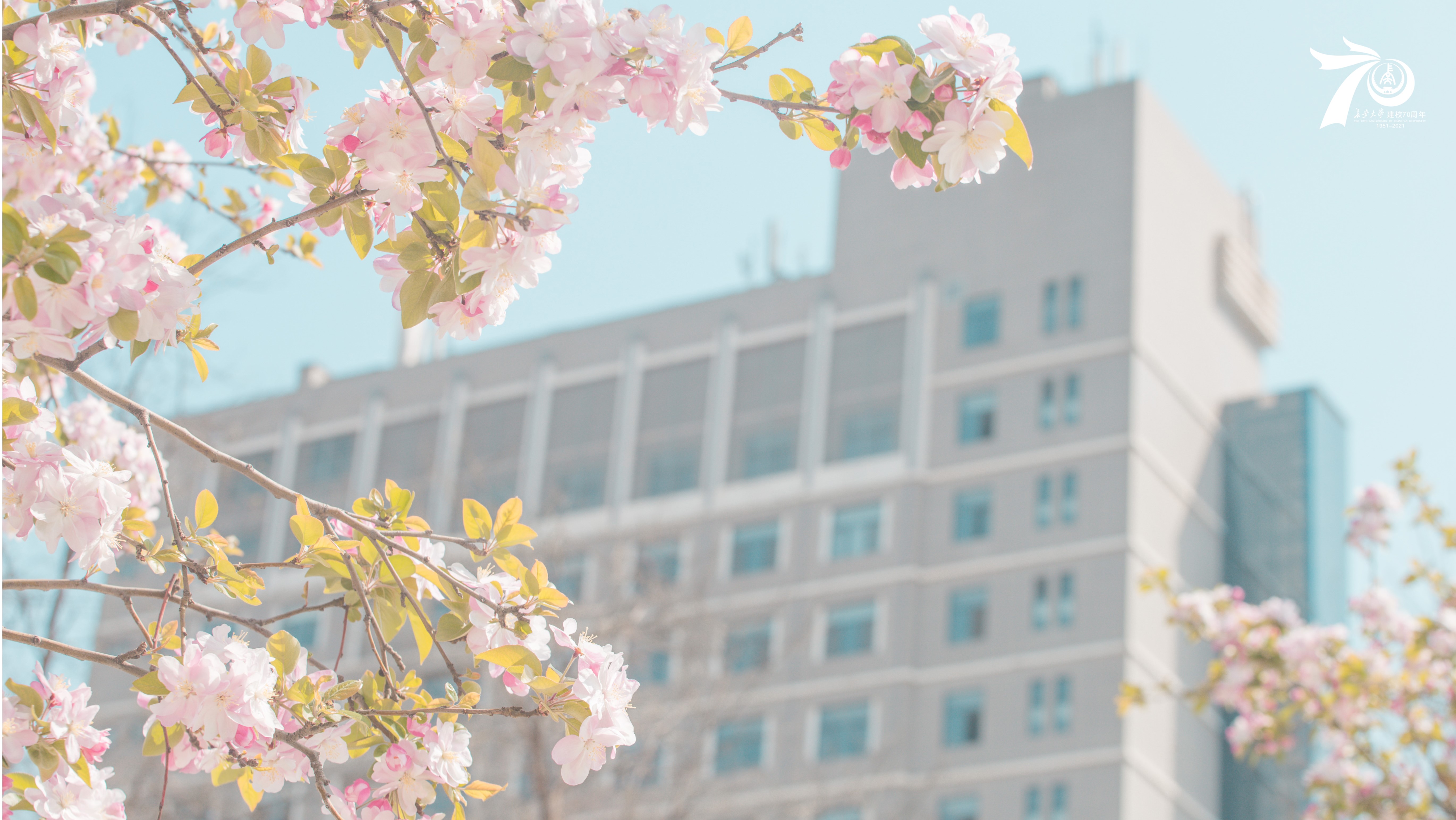 4K, Asia, China, The university campus, communism HD Wallpaper