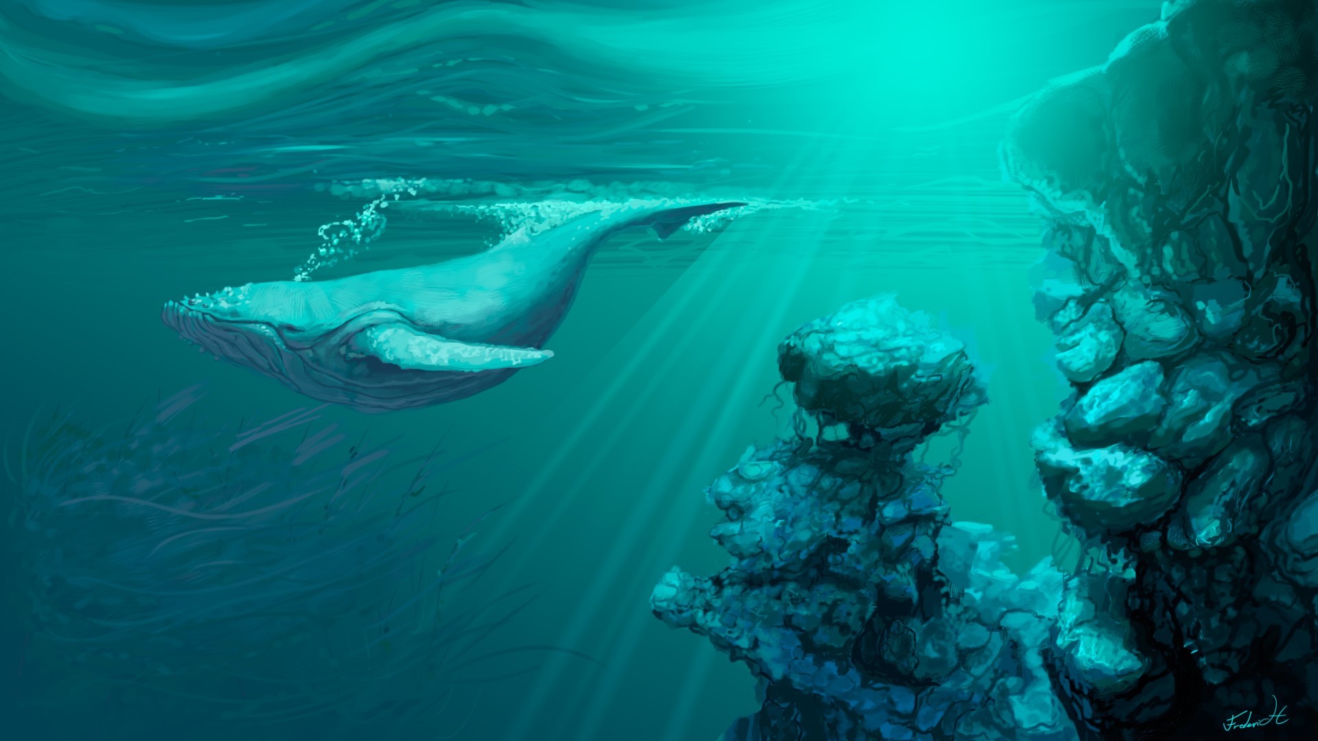 animals, turquoise, artwork, underwater, whale, cyan HD Wallpaper
