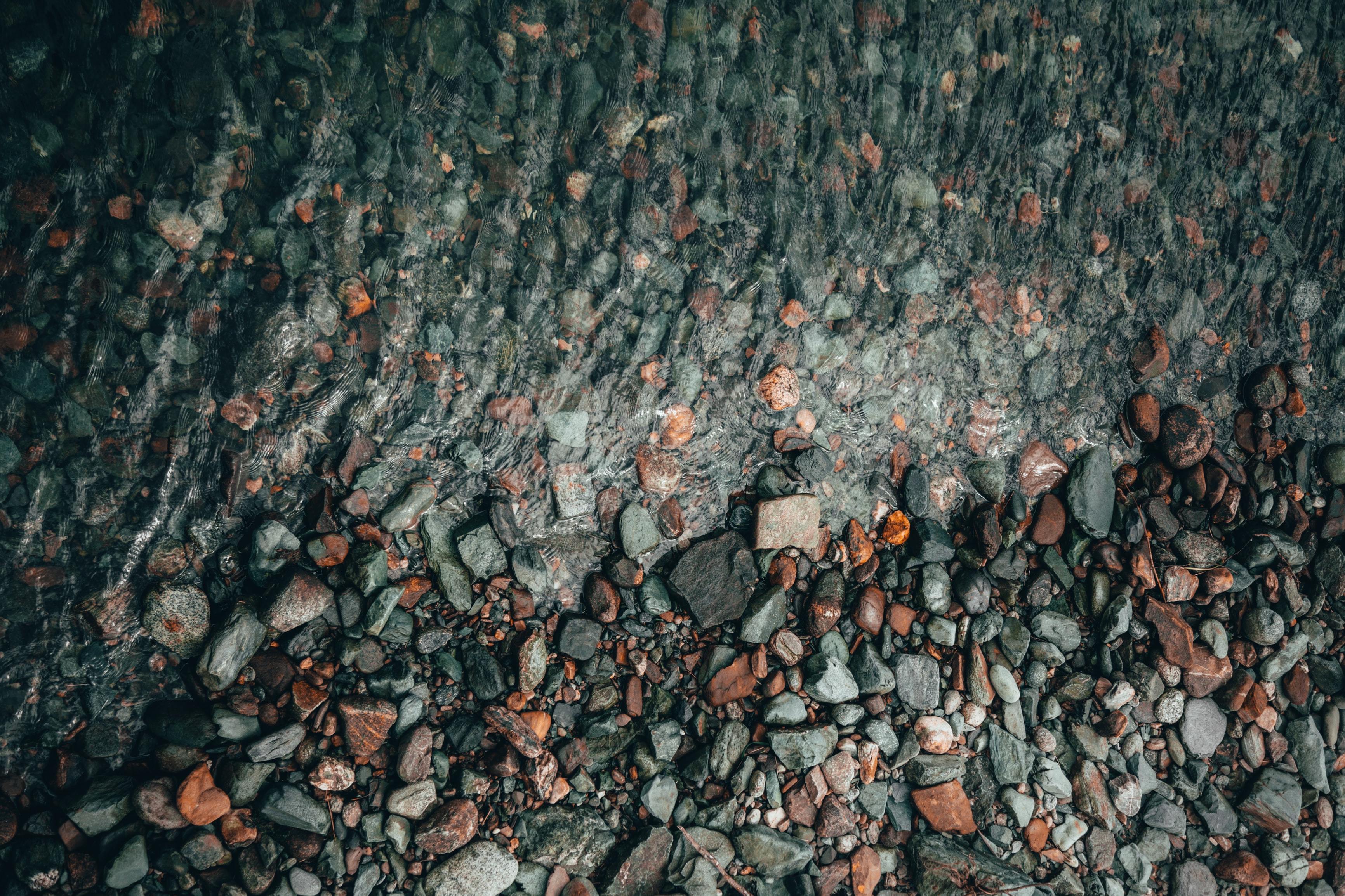 Close-up of wet stones on a riverbed HD Wallpaper