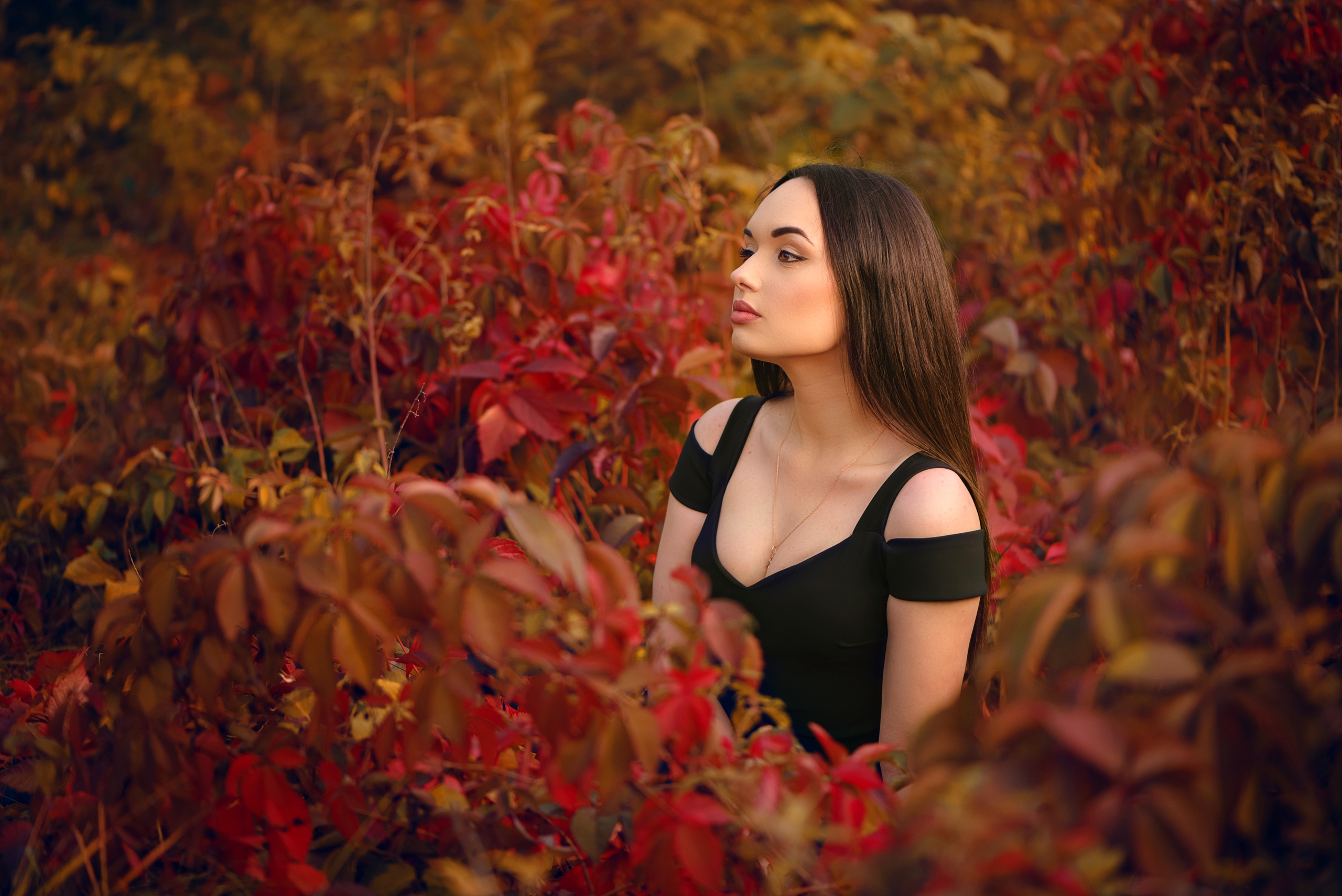 Black Hair Woman Amid Autumn Foliage HD Wallpaper