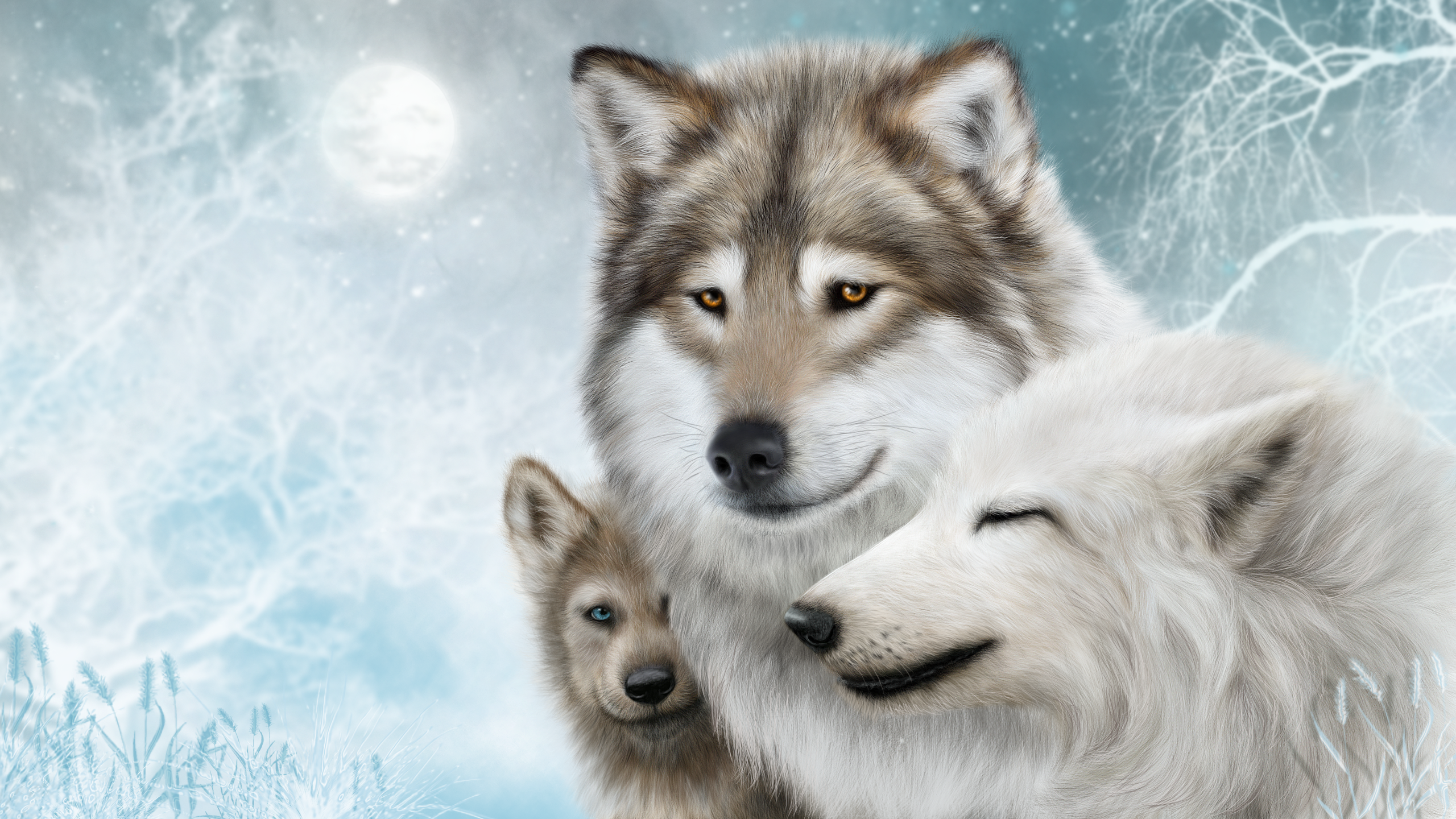 mammals, wolf, white, animals, artwork, snow, winter HD Wallpaper