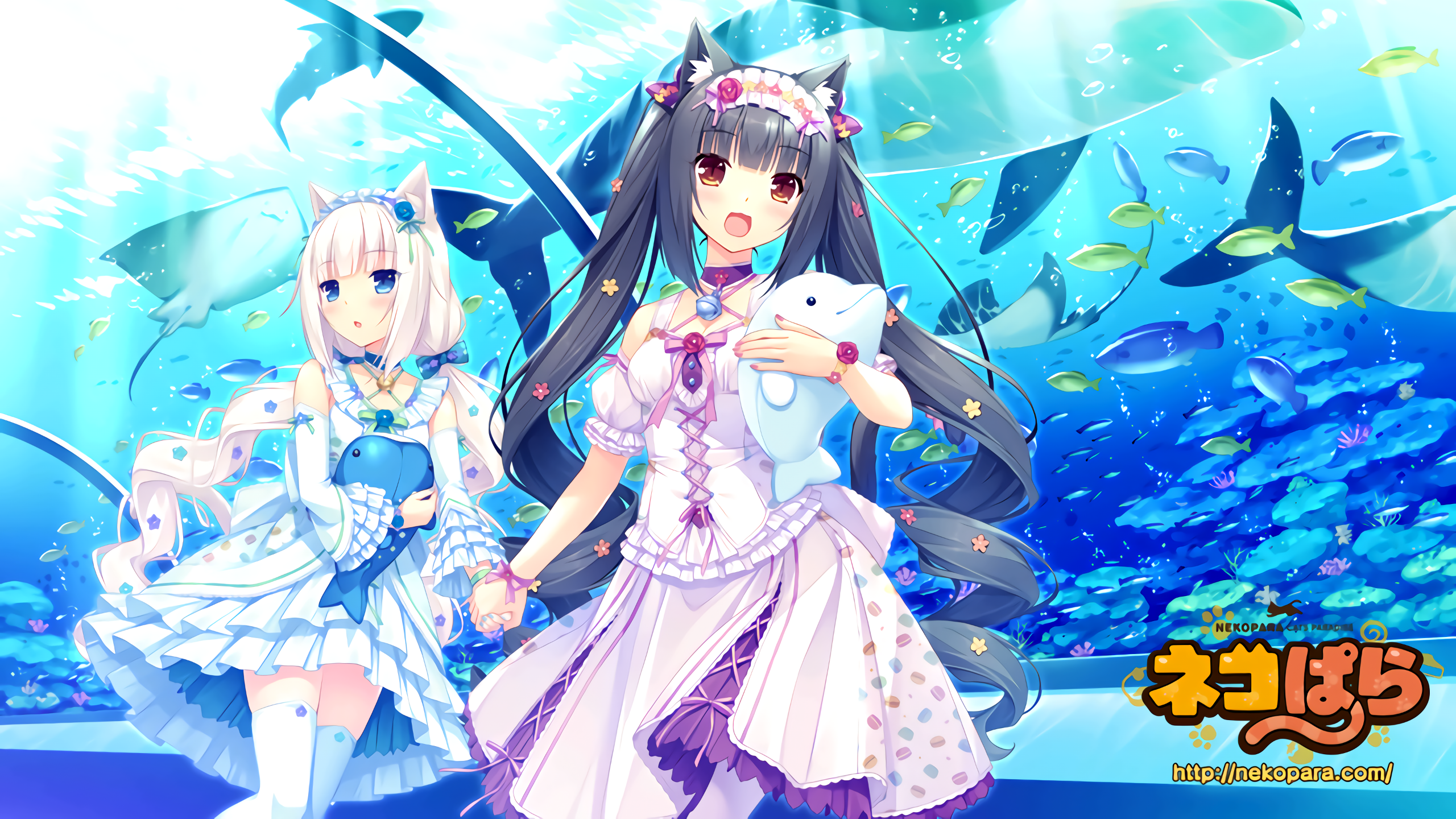 Chocolat (Neko Para), anime girls, Neko Para, Neko Works, Sayori, Vanilla (Neko Para), cat girl HD Wallpaper