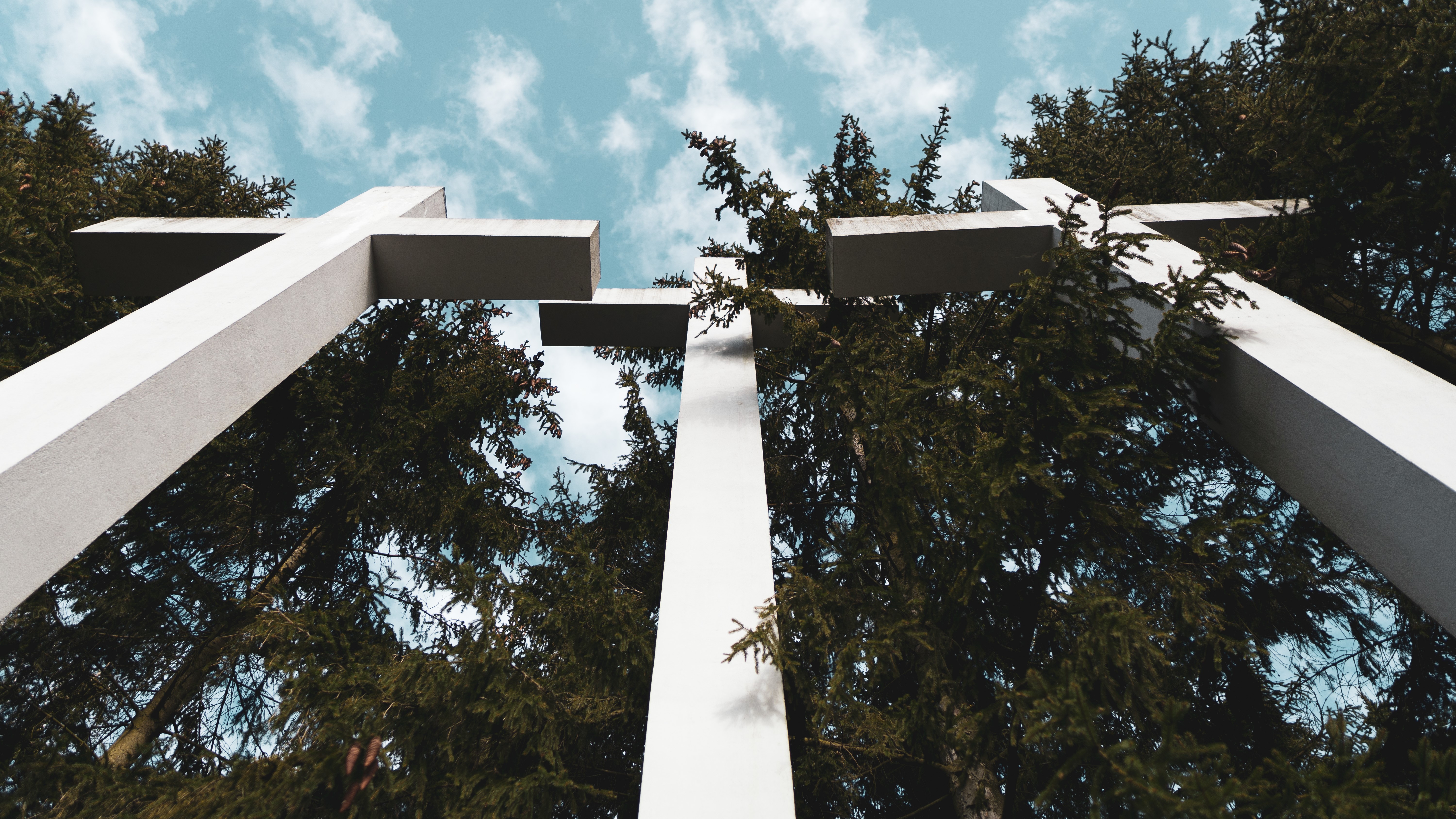 4K, trees, cross, nature, Palmiry, Poland HD Wallpaper