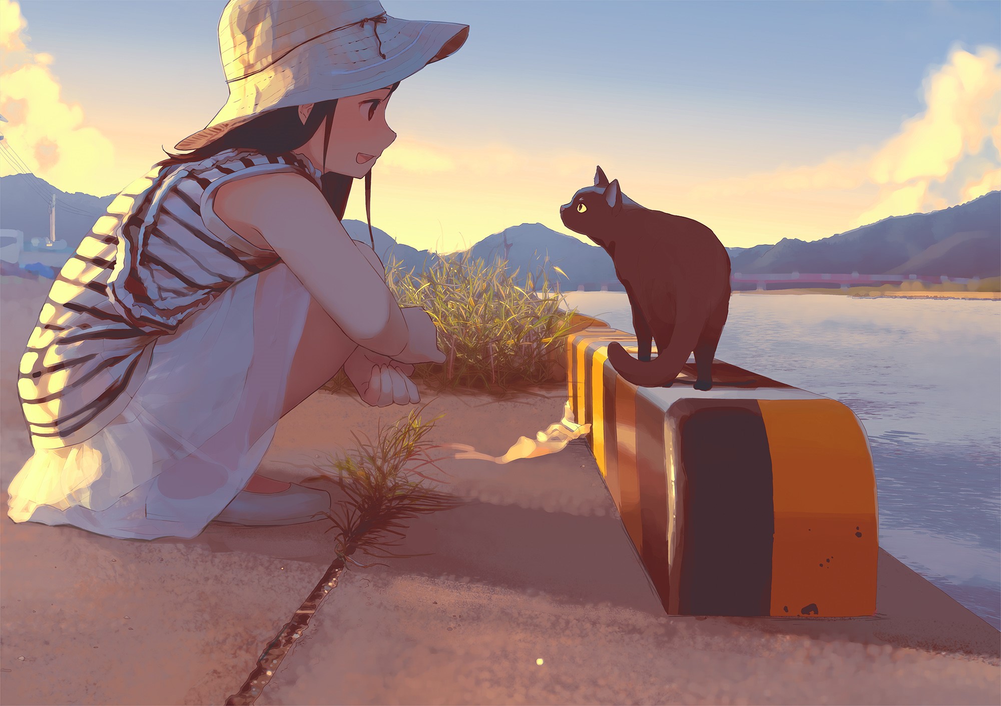 clouds, brunette, anime, sky, anime girls, hat, dress, cats, squatting HD Wallpaper